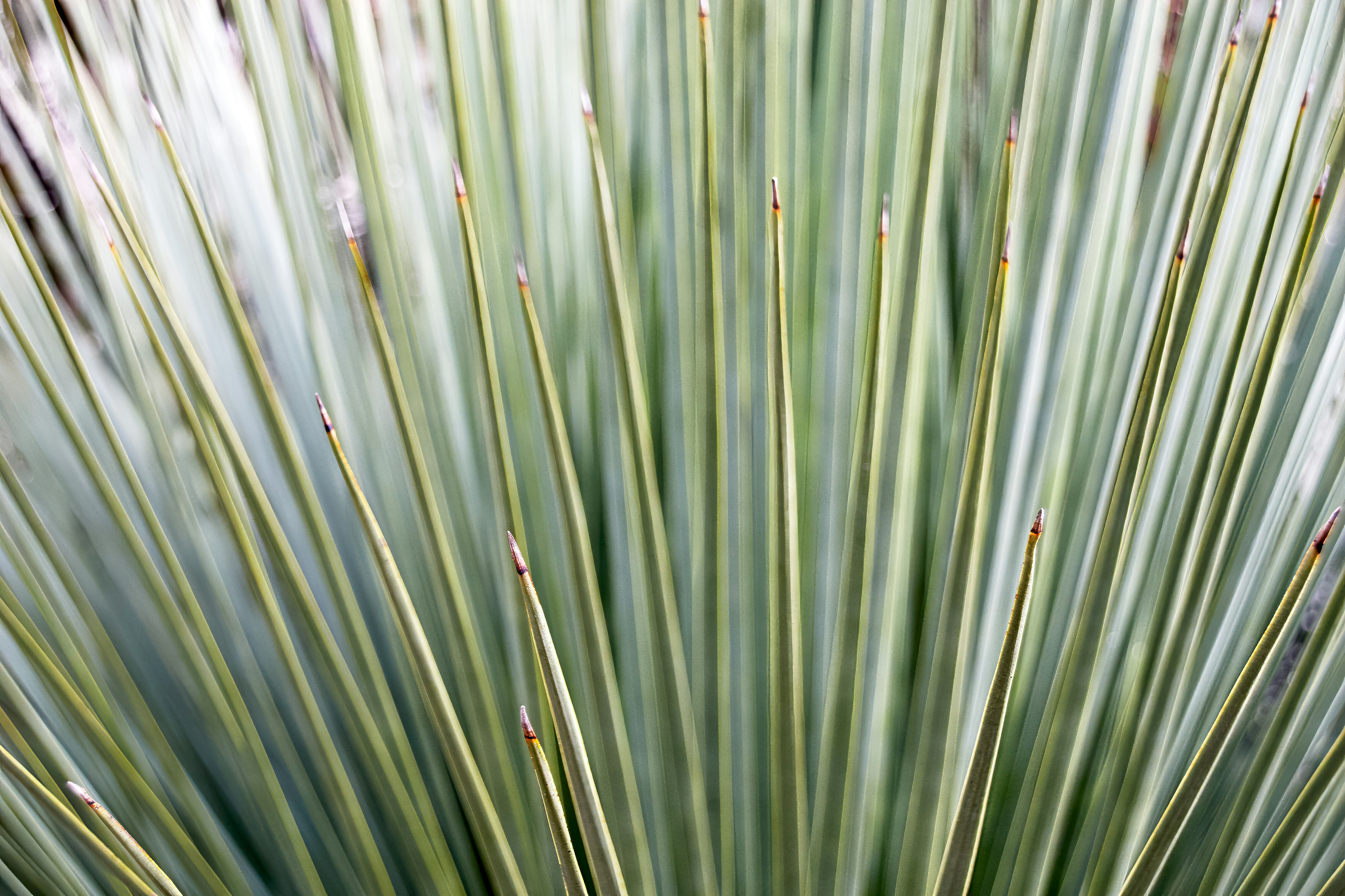 Photo by lukafotografie