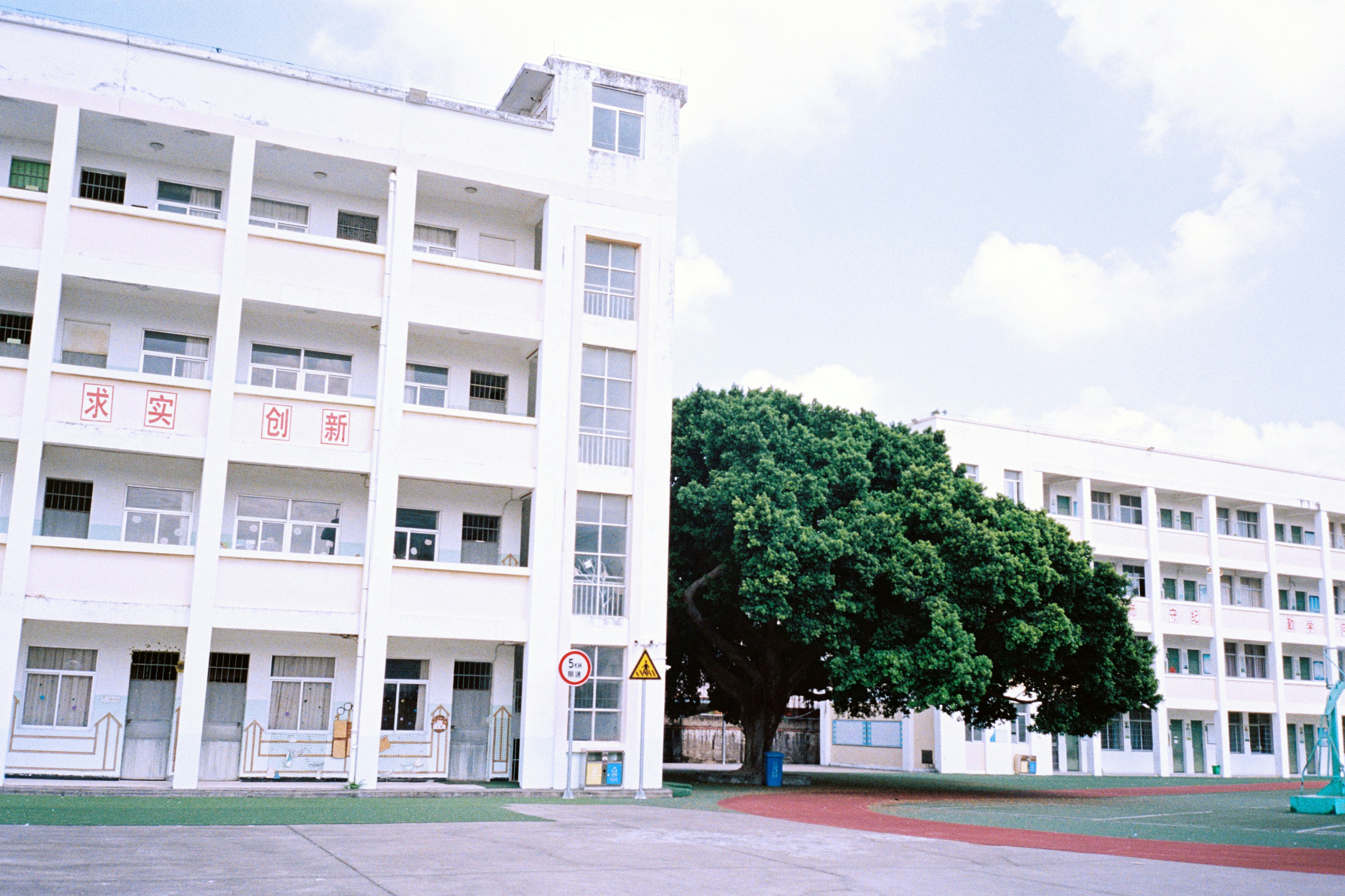 Photo by renjunn
