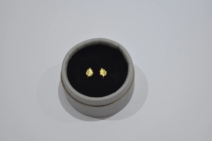 Small gold stud earrings in a round box