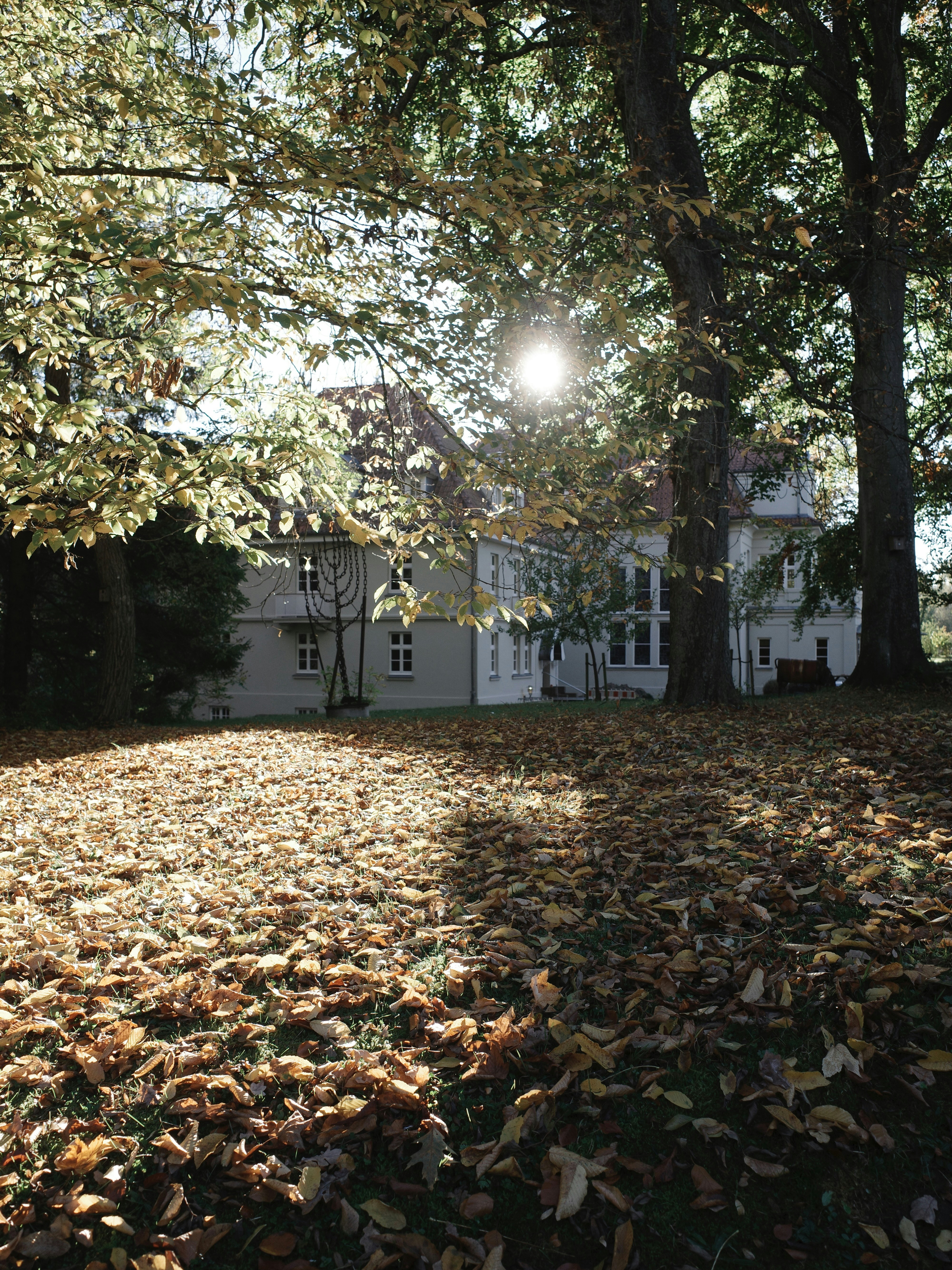 As folhas de outono cobrem o chão perto de um edifício.