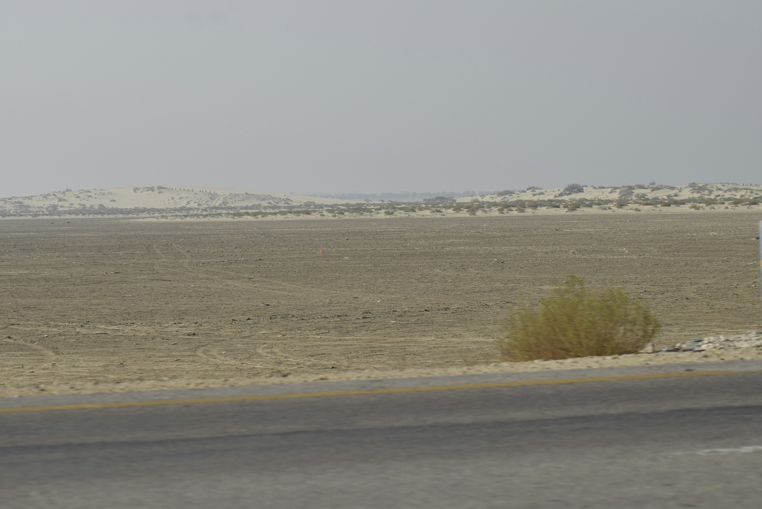 Paysage aride avec une végétation clairsemée et des collines lointaines