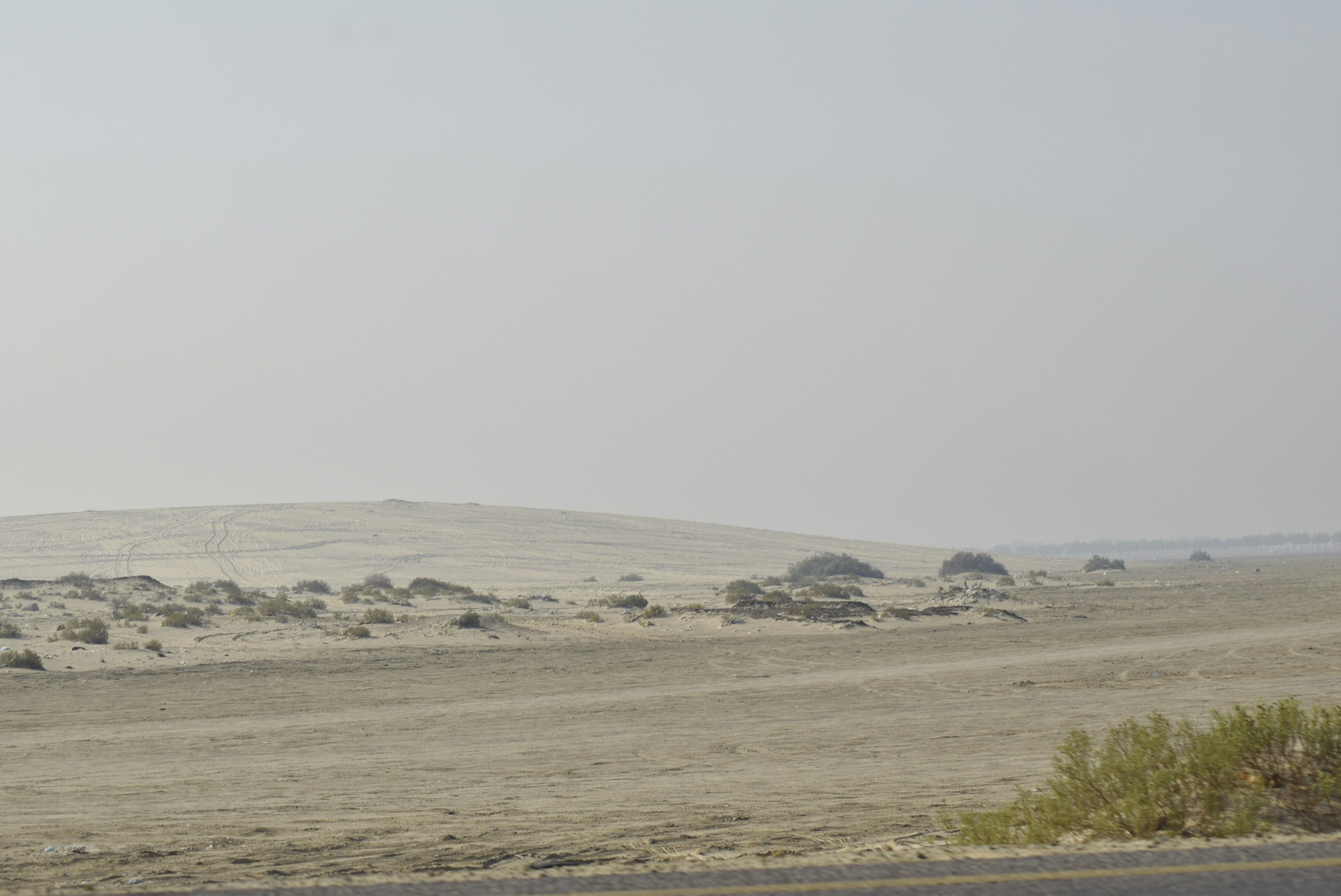 Paysage désertique aride avec une végétation clairsemée sous un ciel brumeux