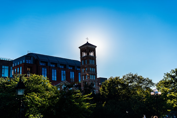 The New School
