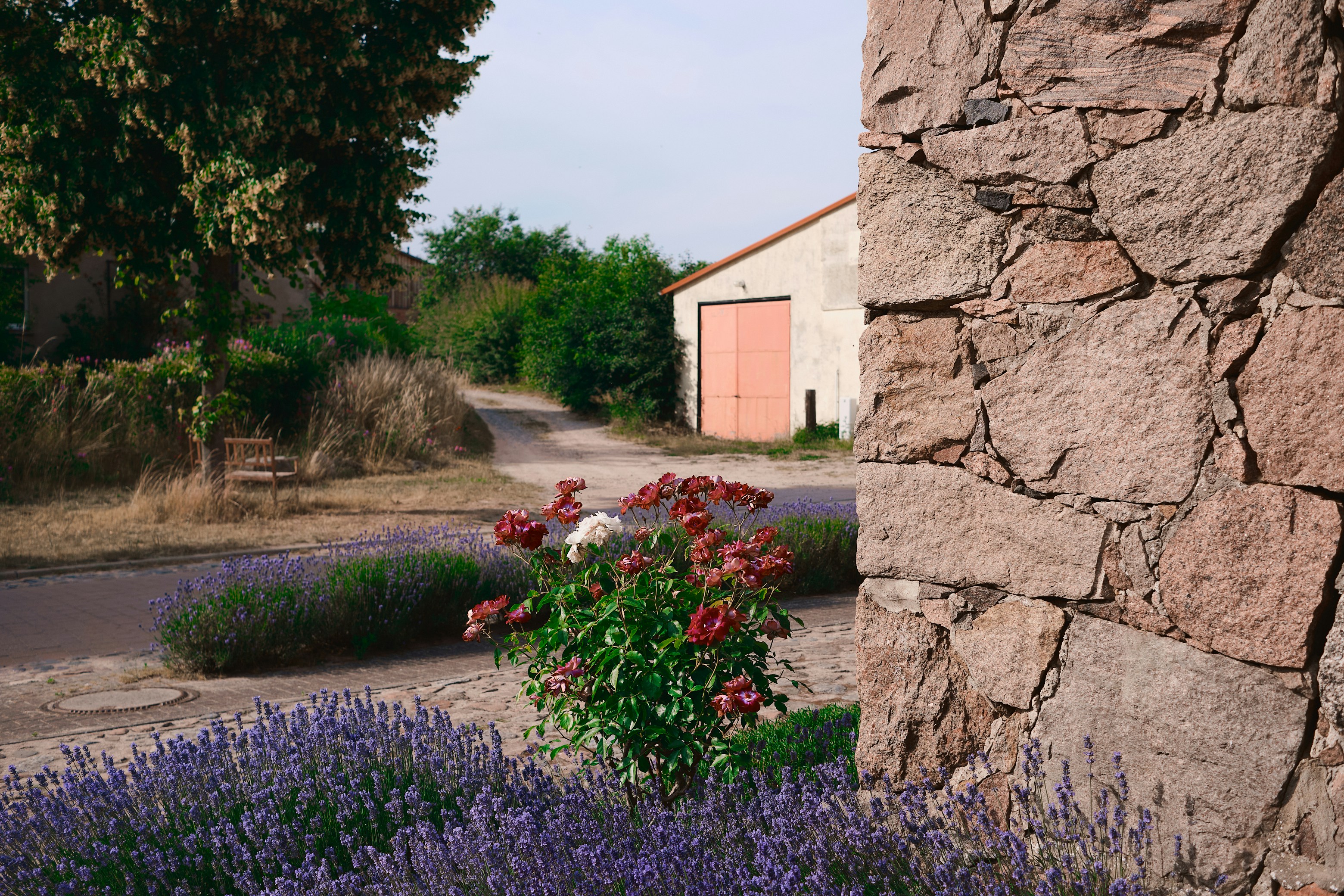 Photo by dennysachtleben