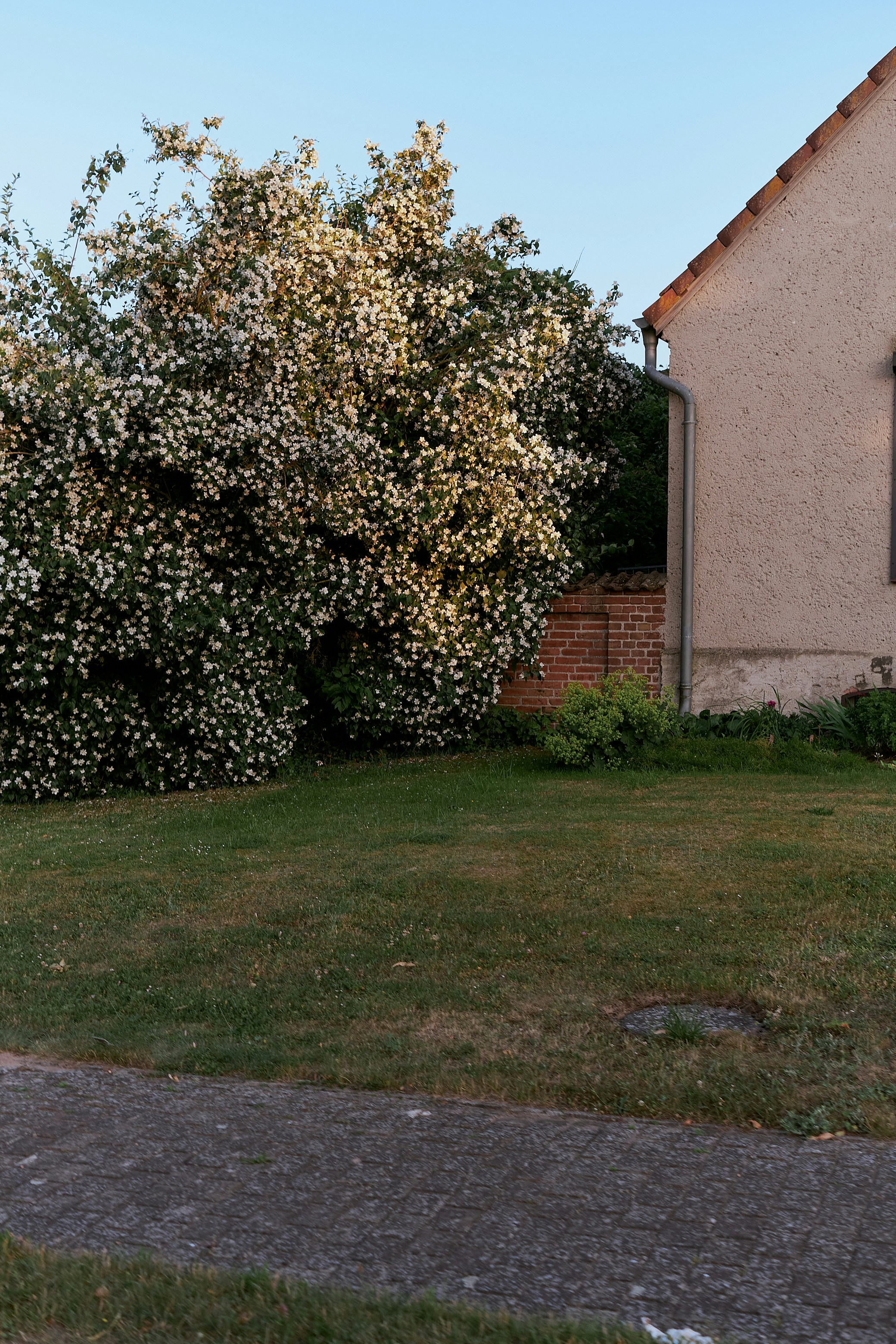 Photo by dennysachtleben