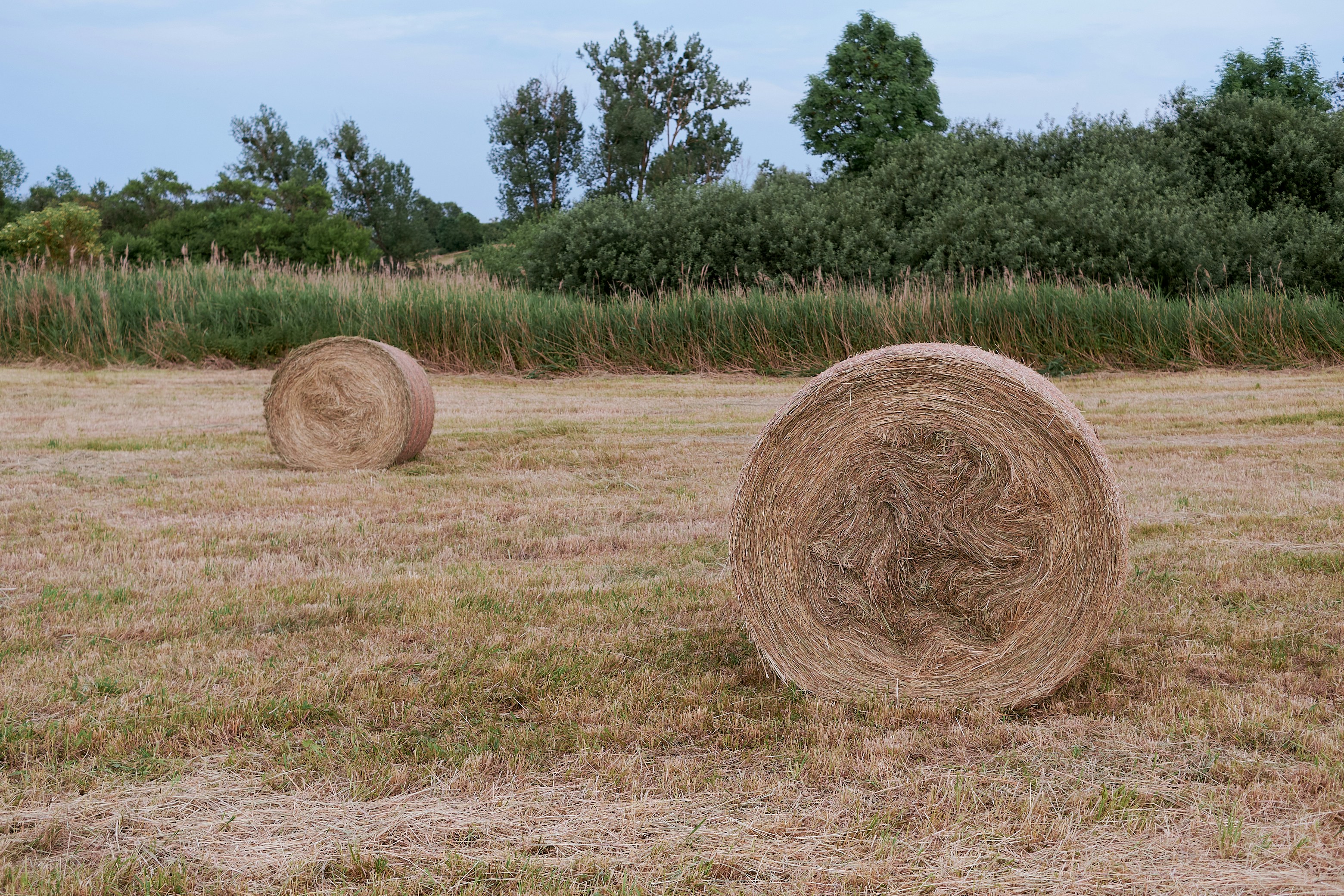 Photo by dennysachtleben