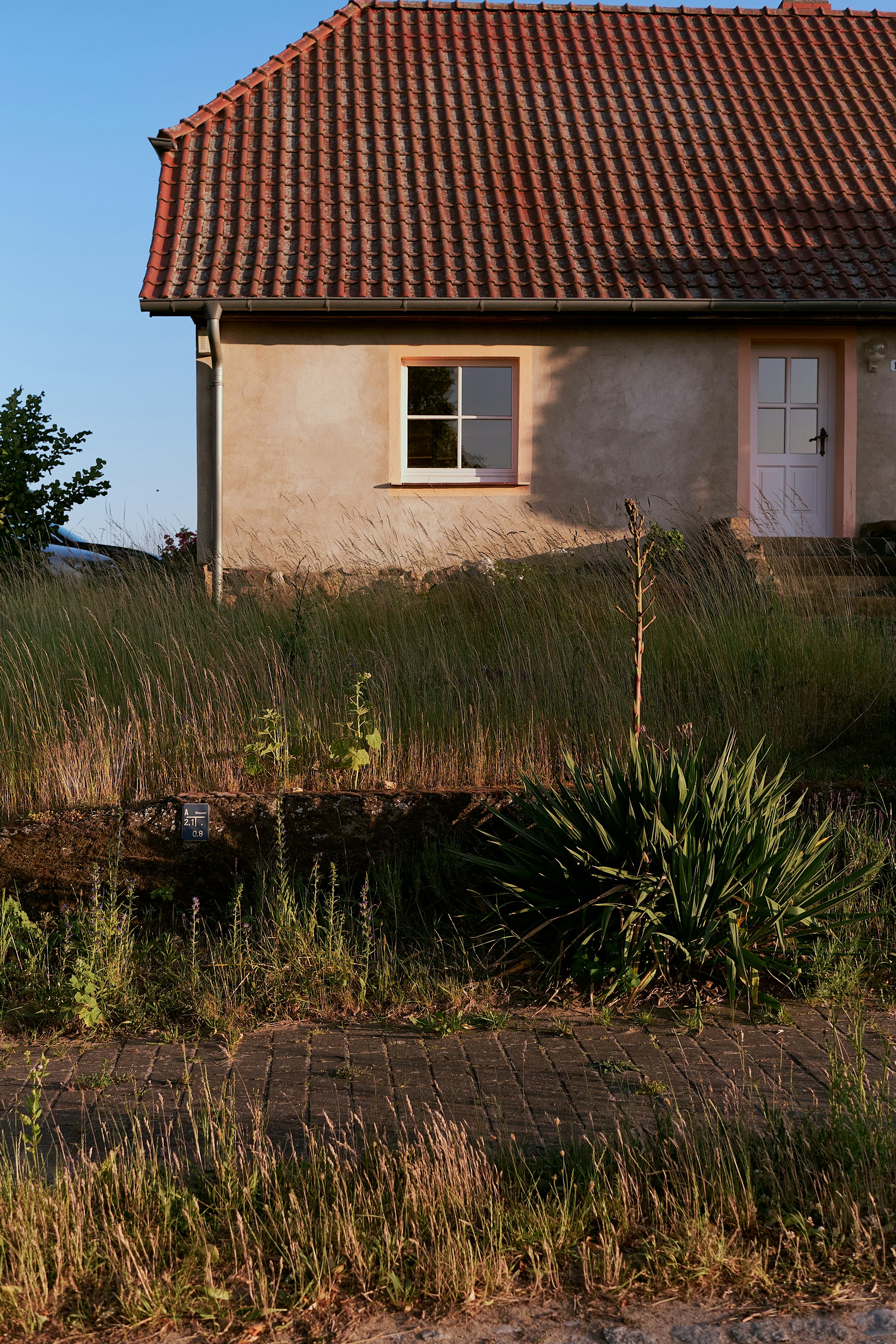 Photo by dennysachtleben