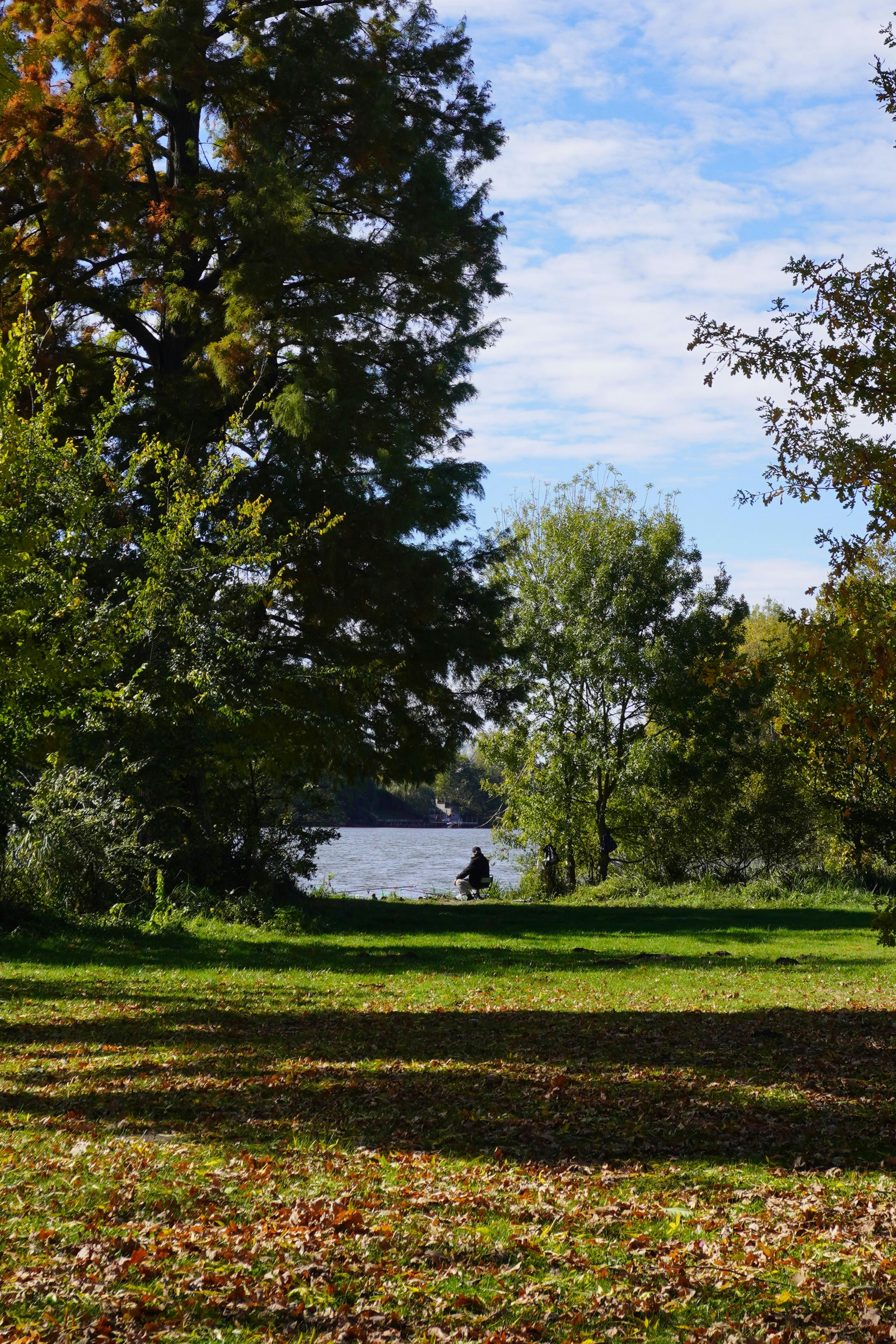 Photo by ioana_roxanna_b