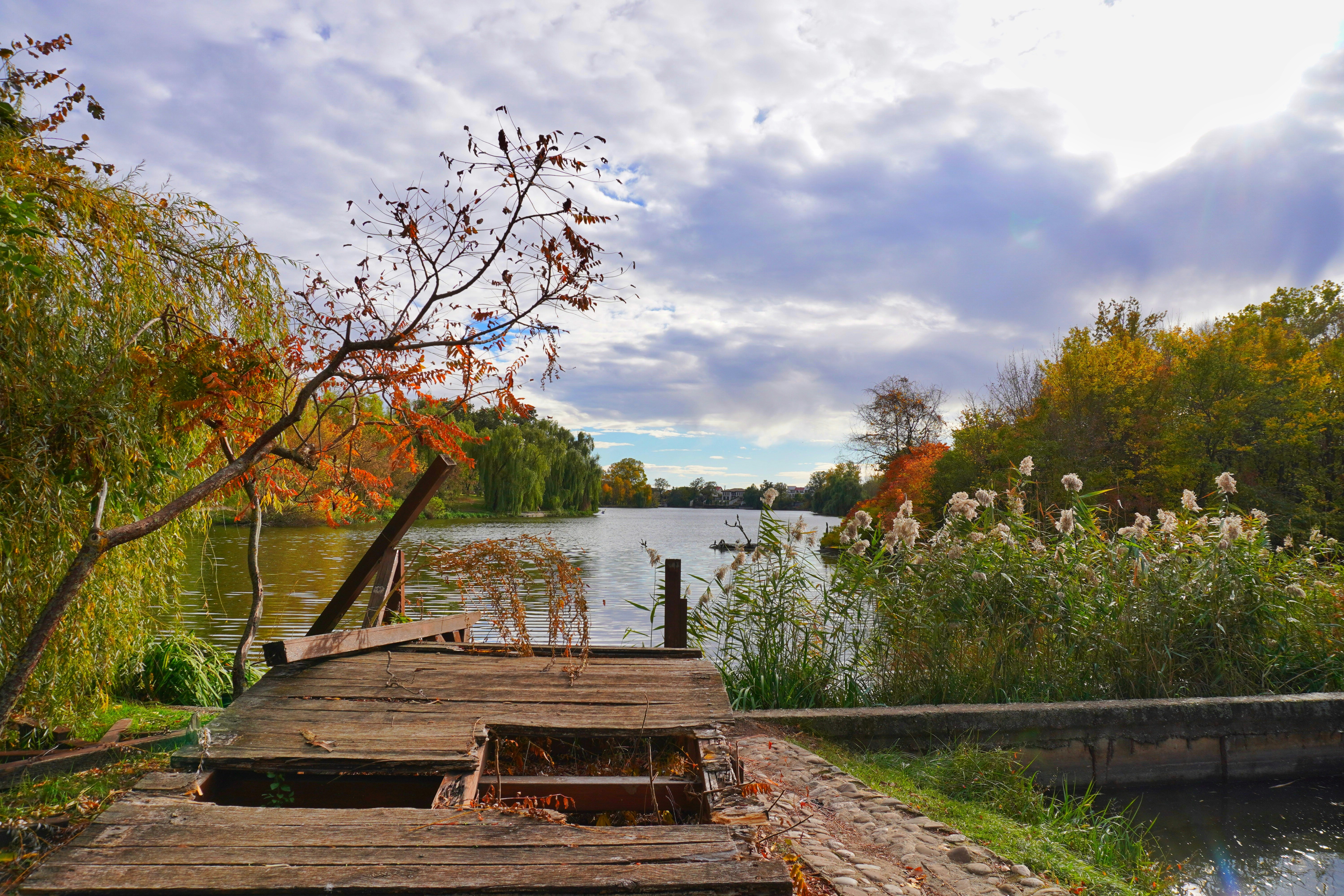 Photo by ioana_roxanna_b