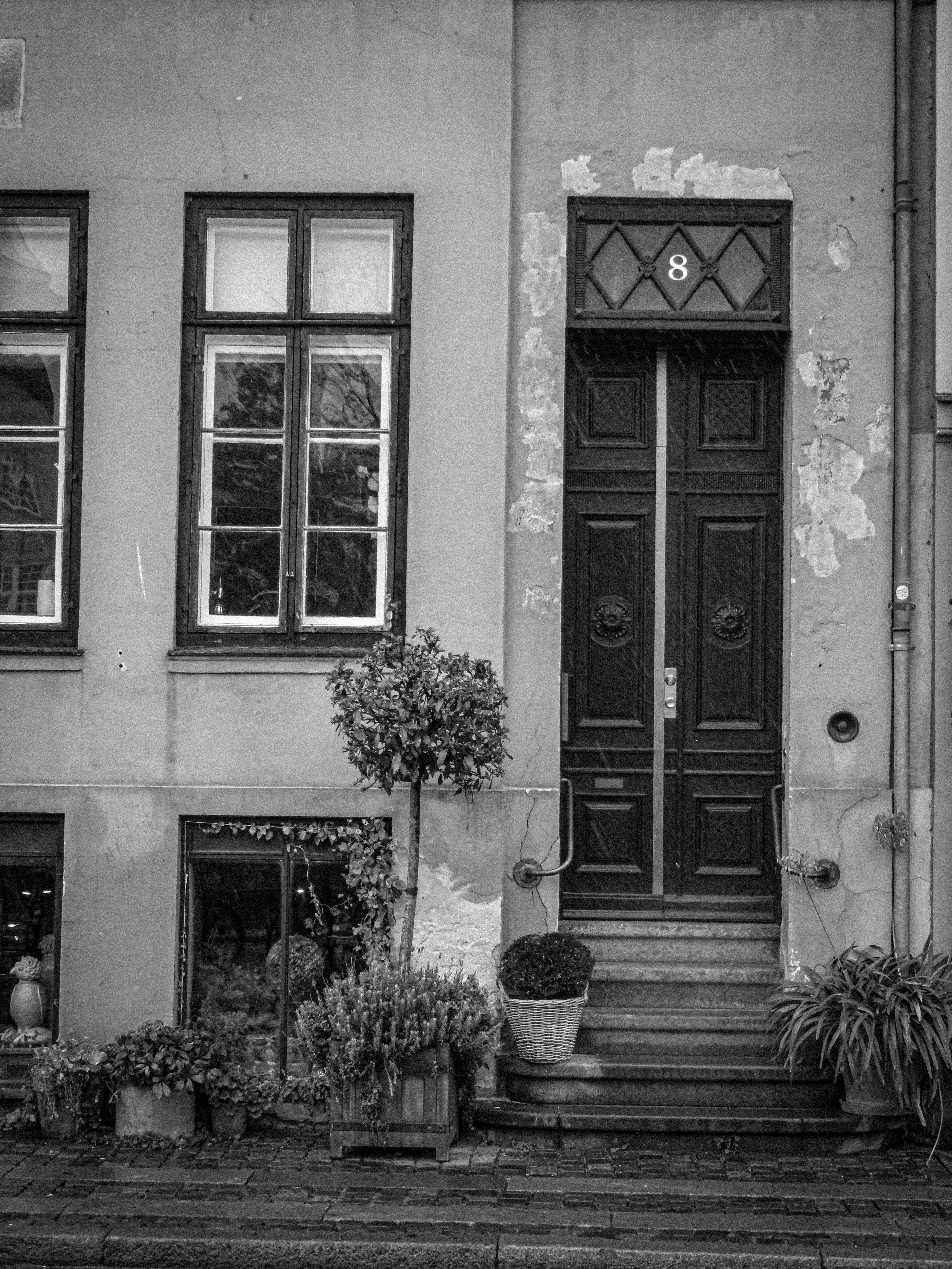 Photo by jgcachafeiro