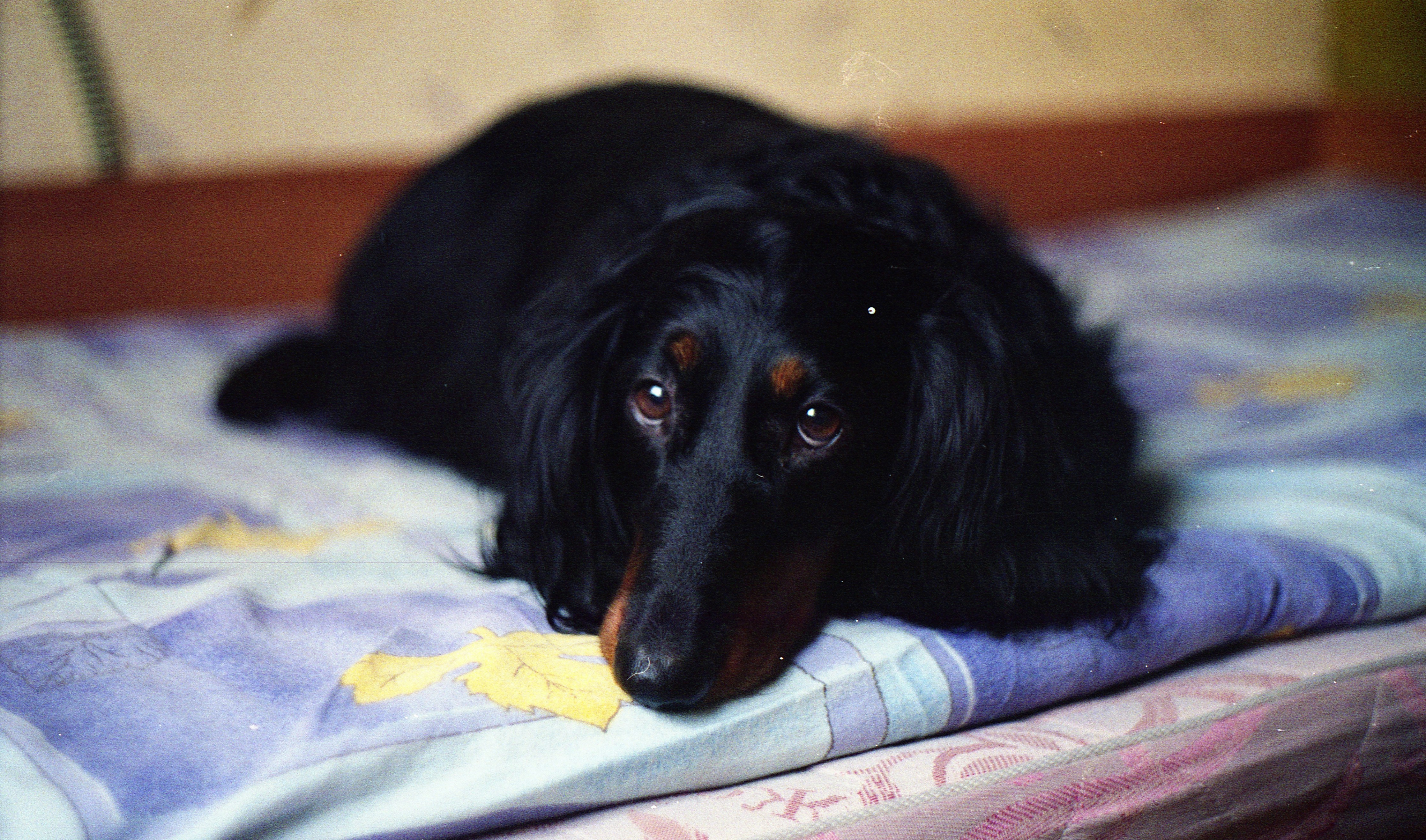 6) Problemas comunes (y mis arreglos favoritos) cuando enseño Echado/Platz/Down