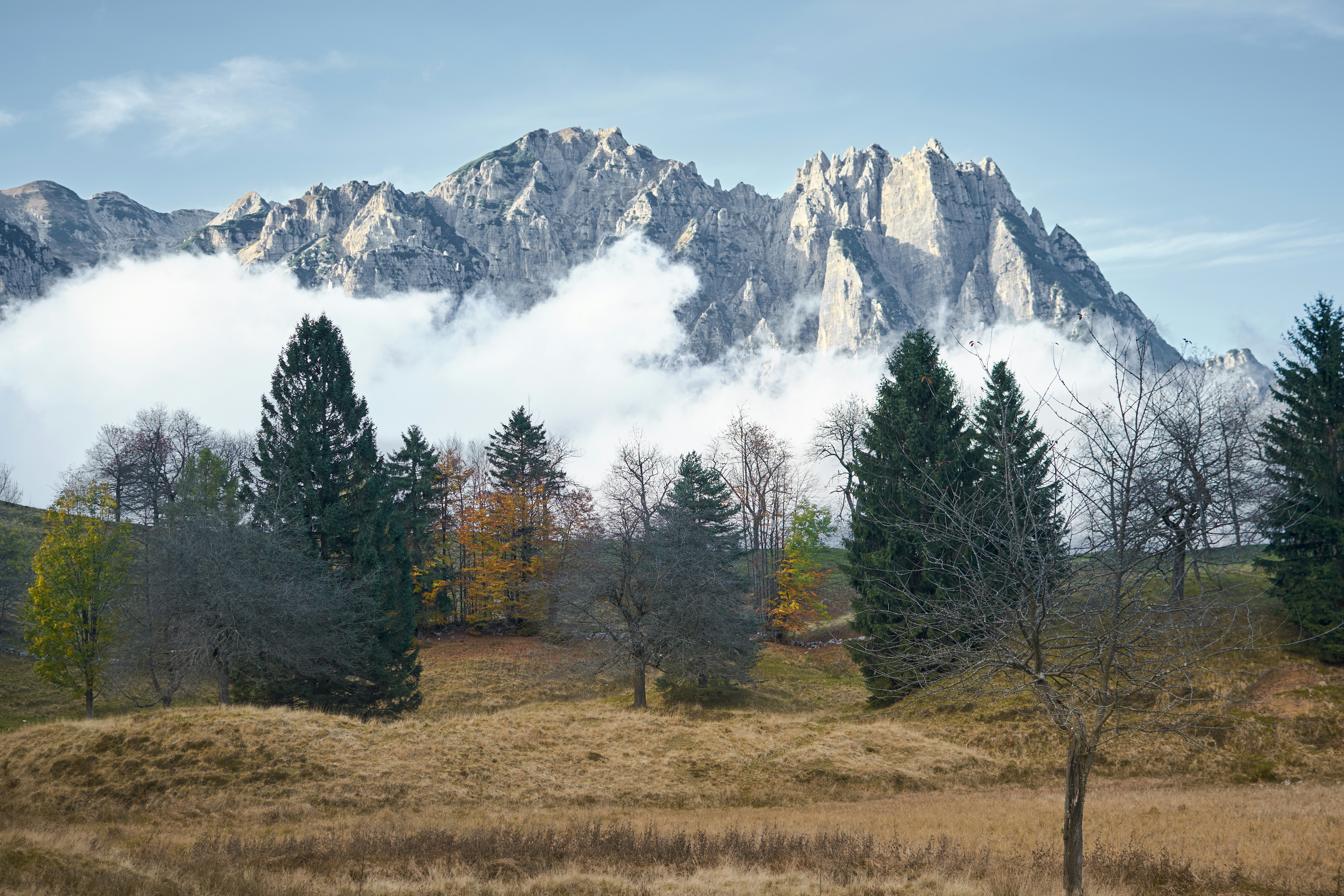 Jagged mountain peaks emerge from low clouds above autumn trees.
