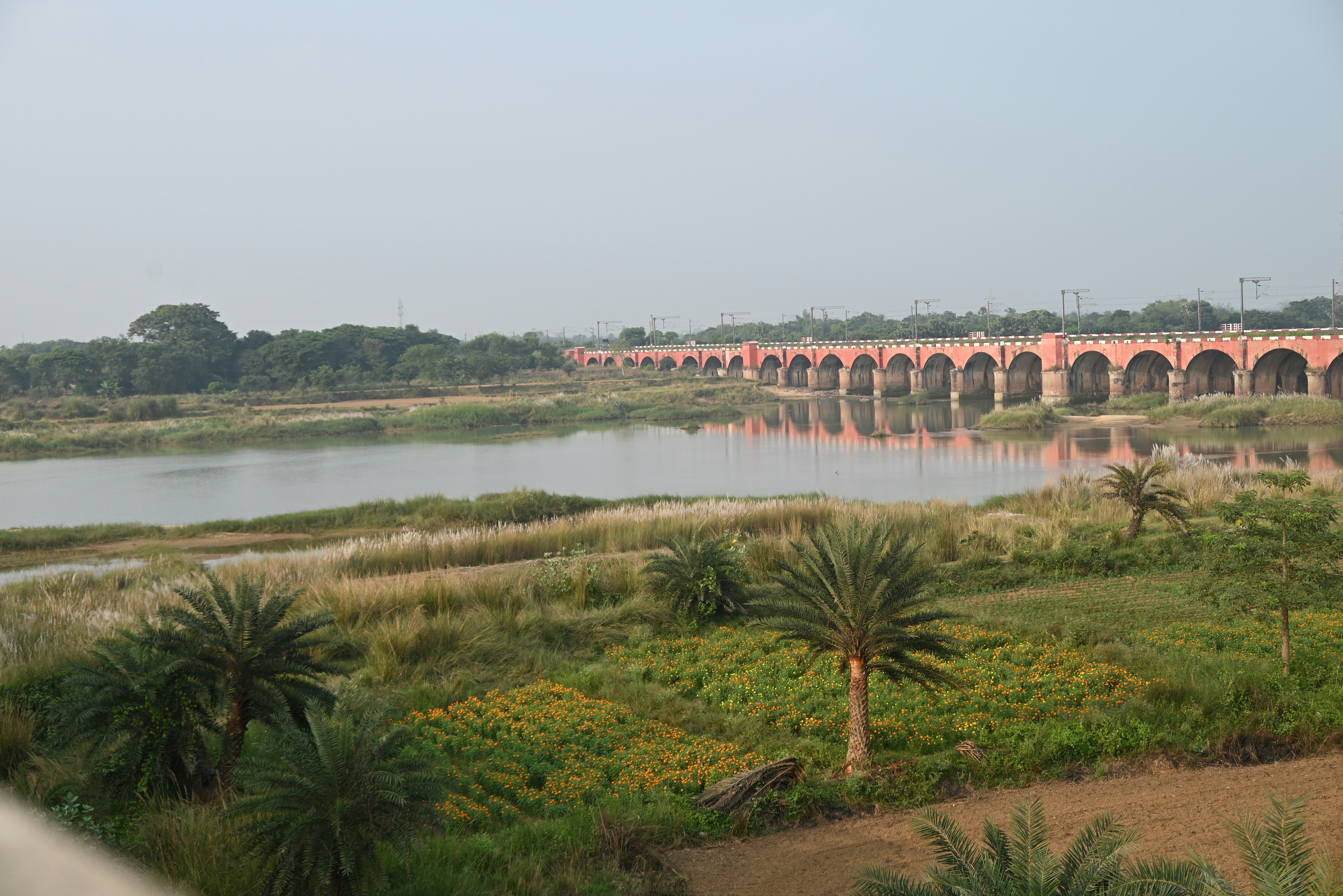 Arch bridge over a wide river with trees and vegetation.