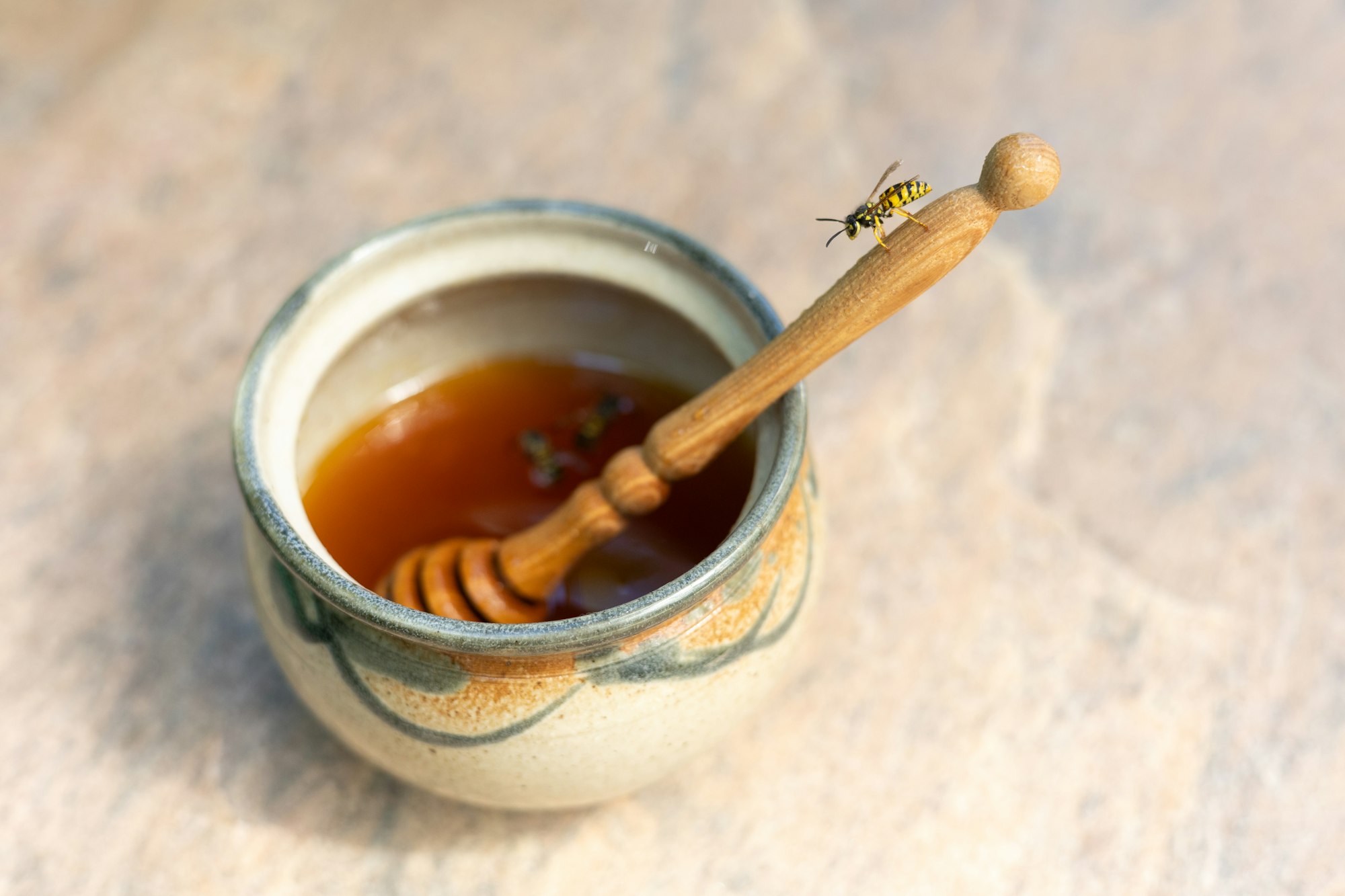 A bee lands on a honey dipper in a pot.