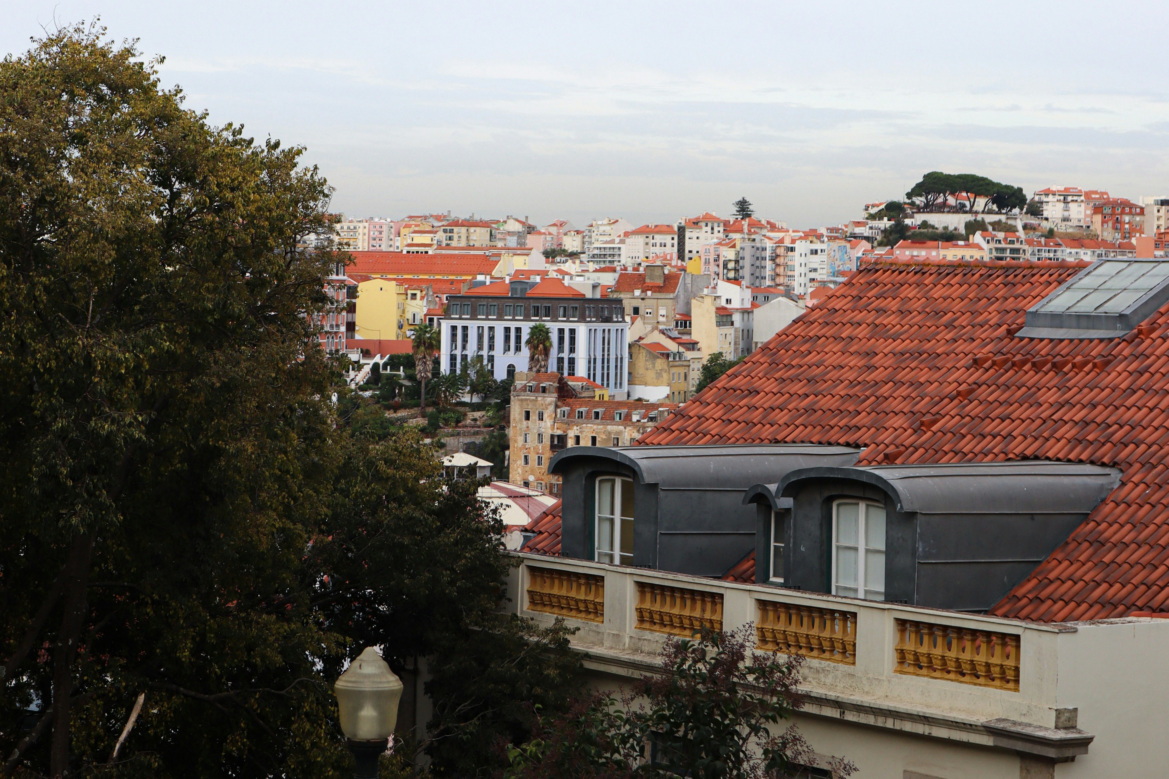 Photo by kaleidoscopjc