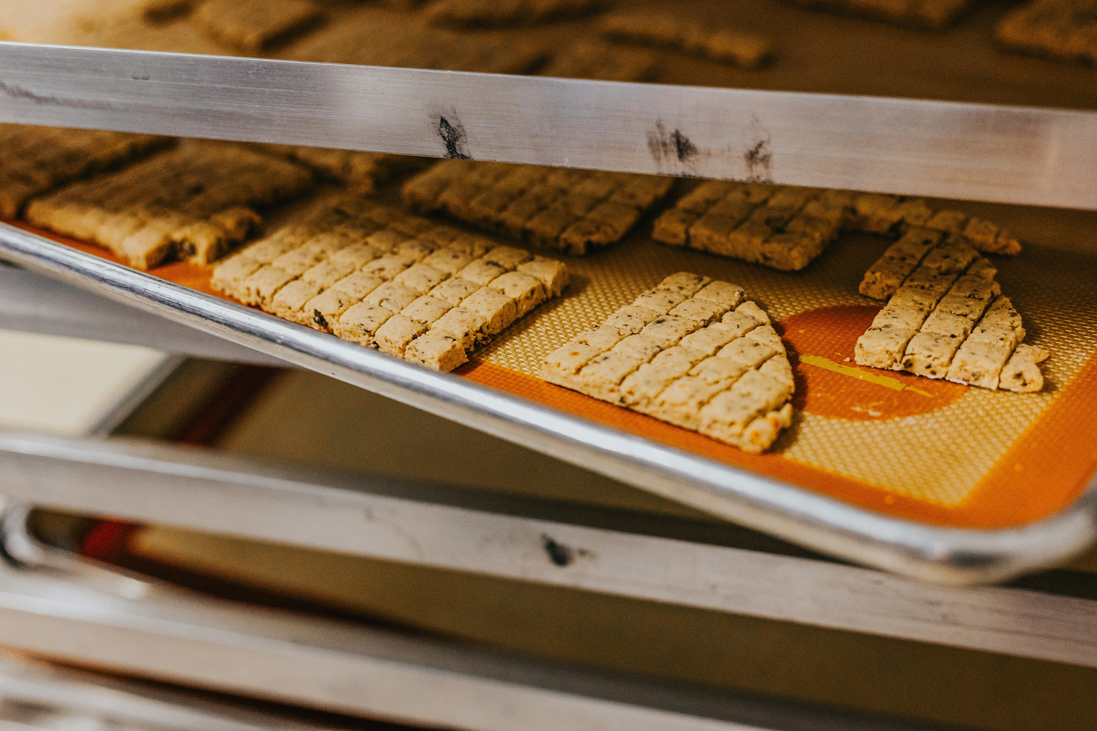 Photo by arinsgoodgirldogtreats