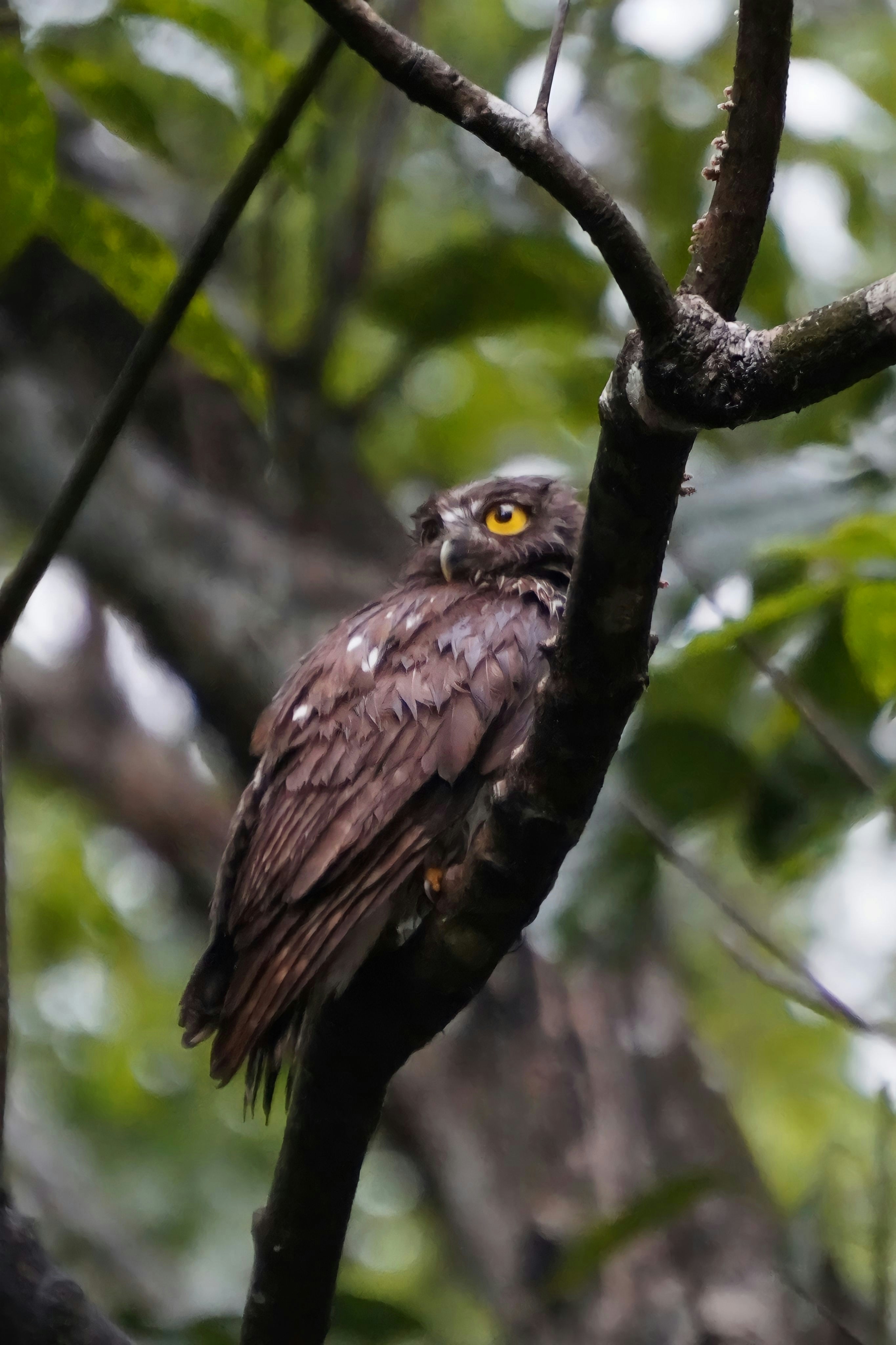 Photo by alankayyanickal