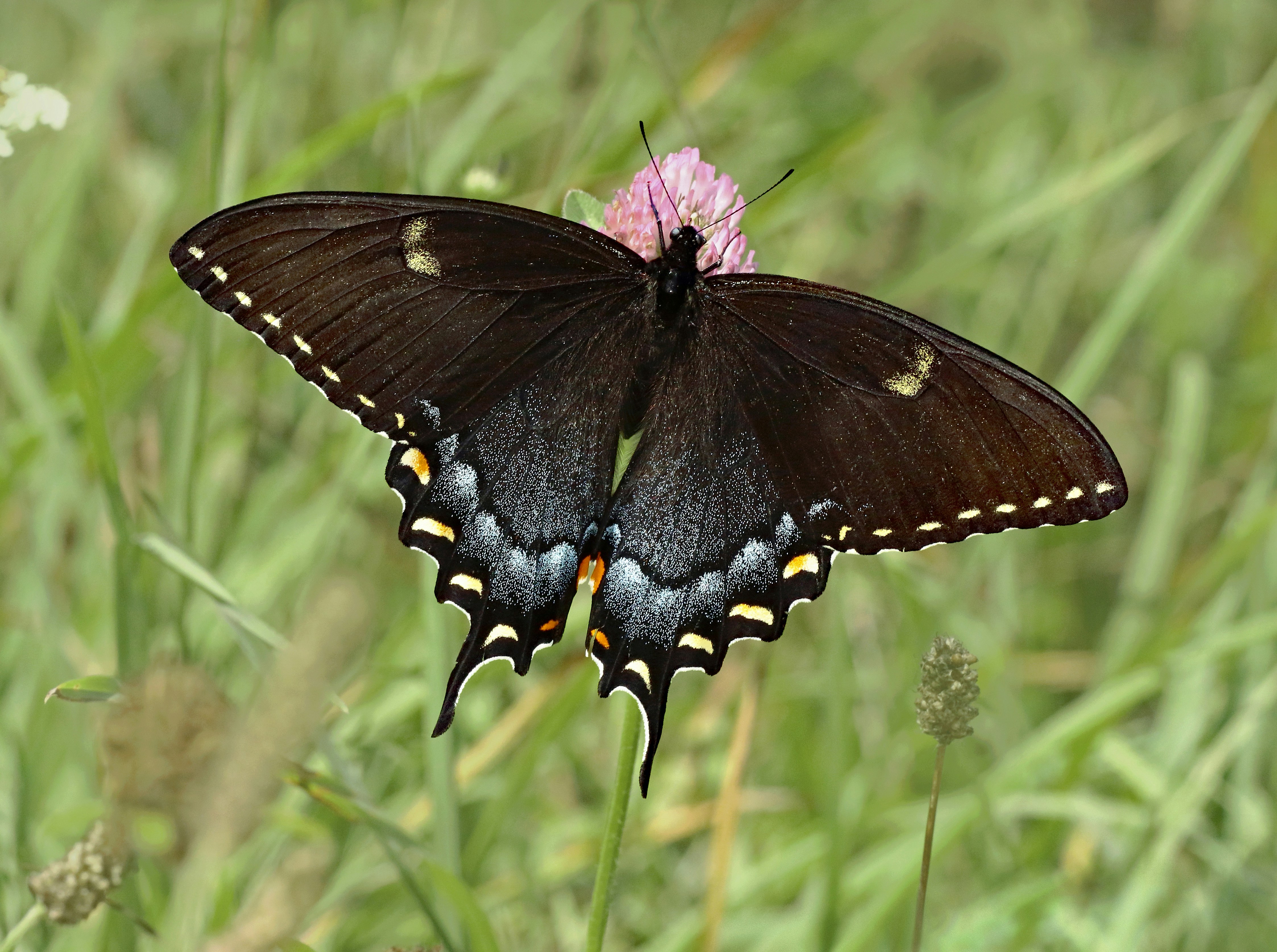 Photo by telliottmbamsc