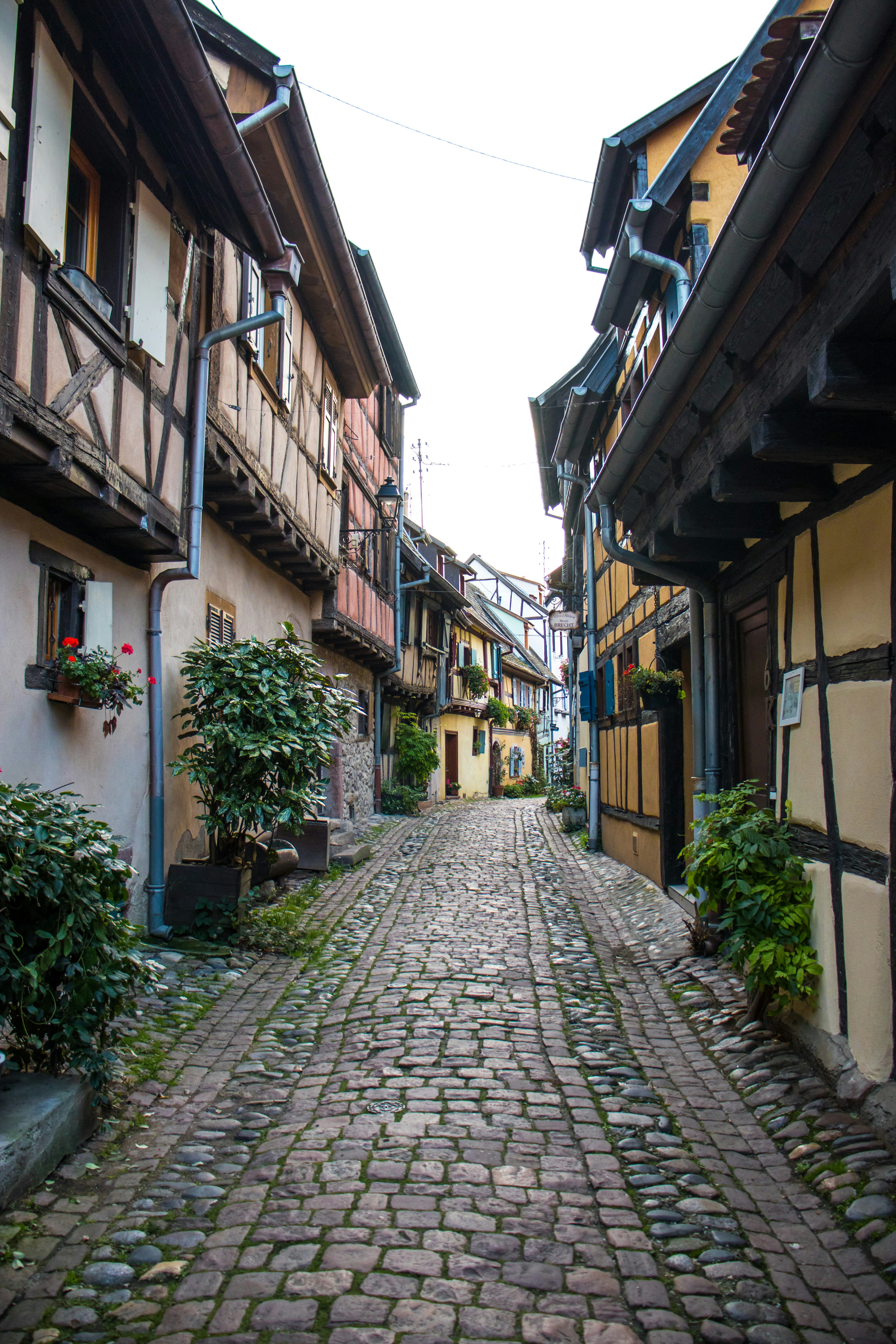 Photo by lucasgallone