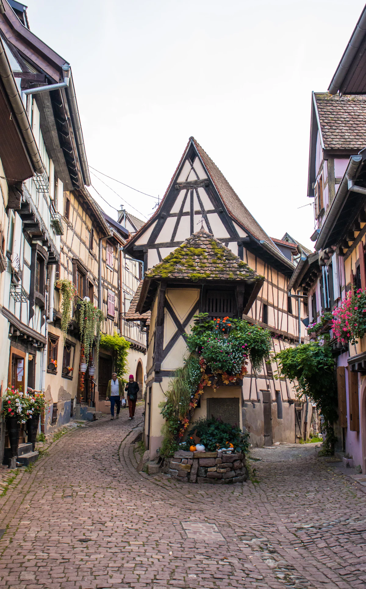Cobbled street and half-timbered houses in Eguisheim in autumn