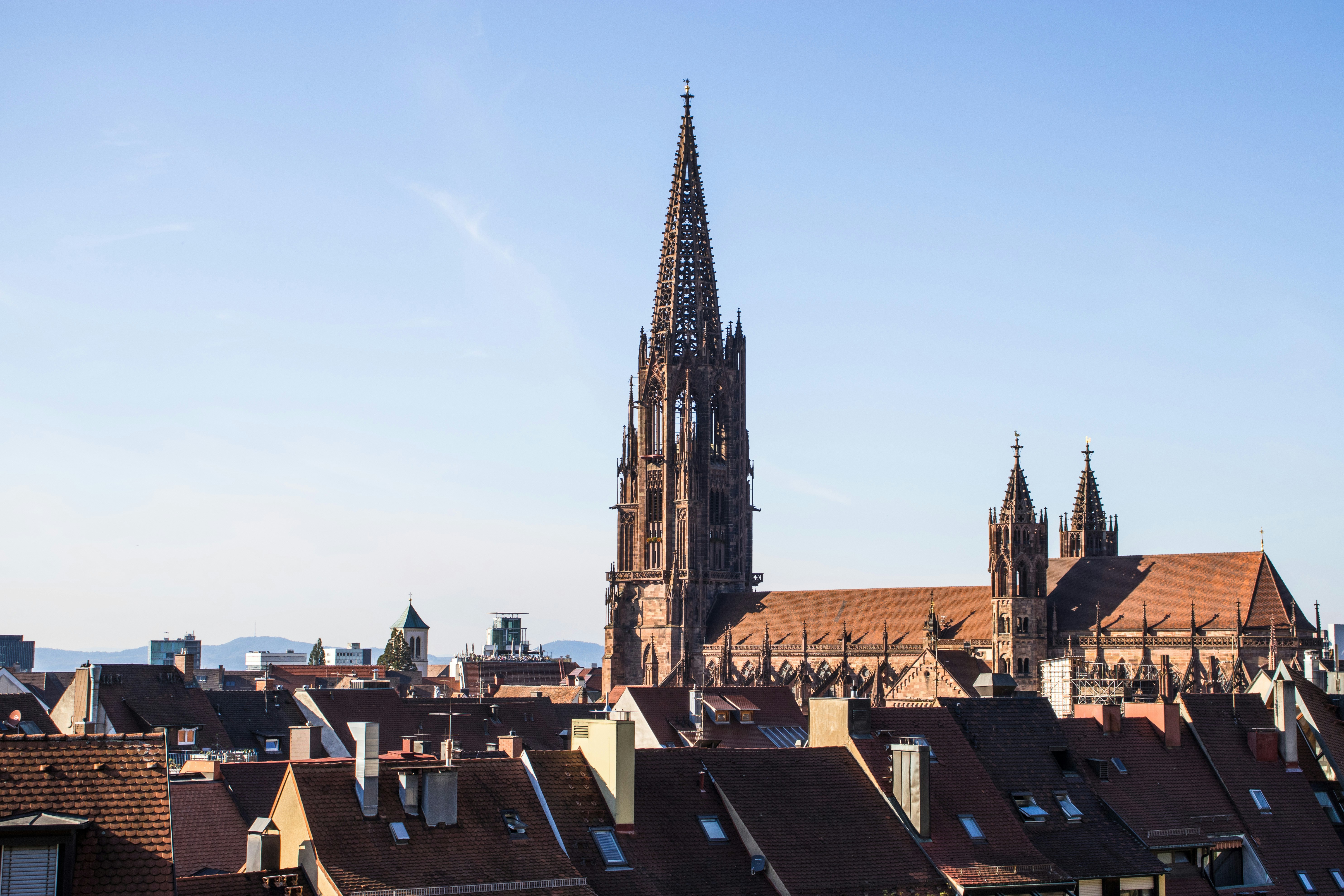 Image by Lucas Gallone via Unsplash