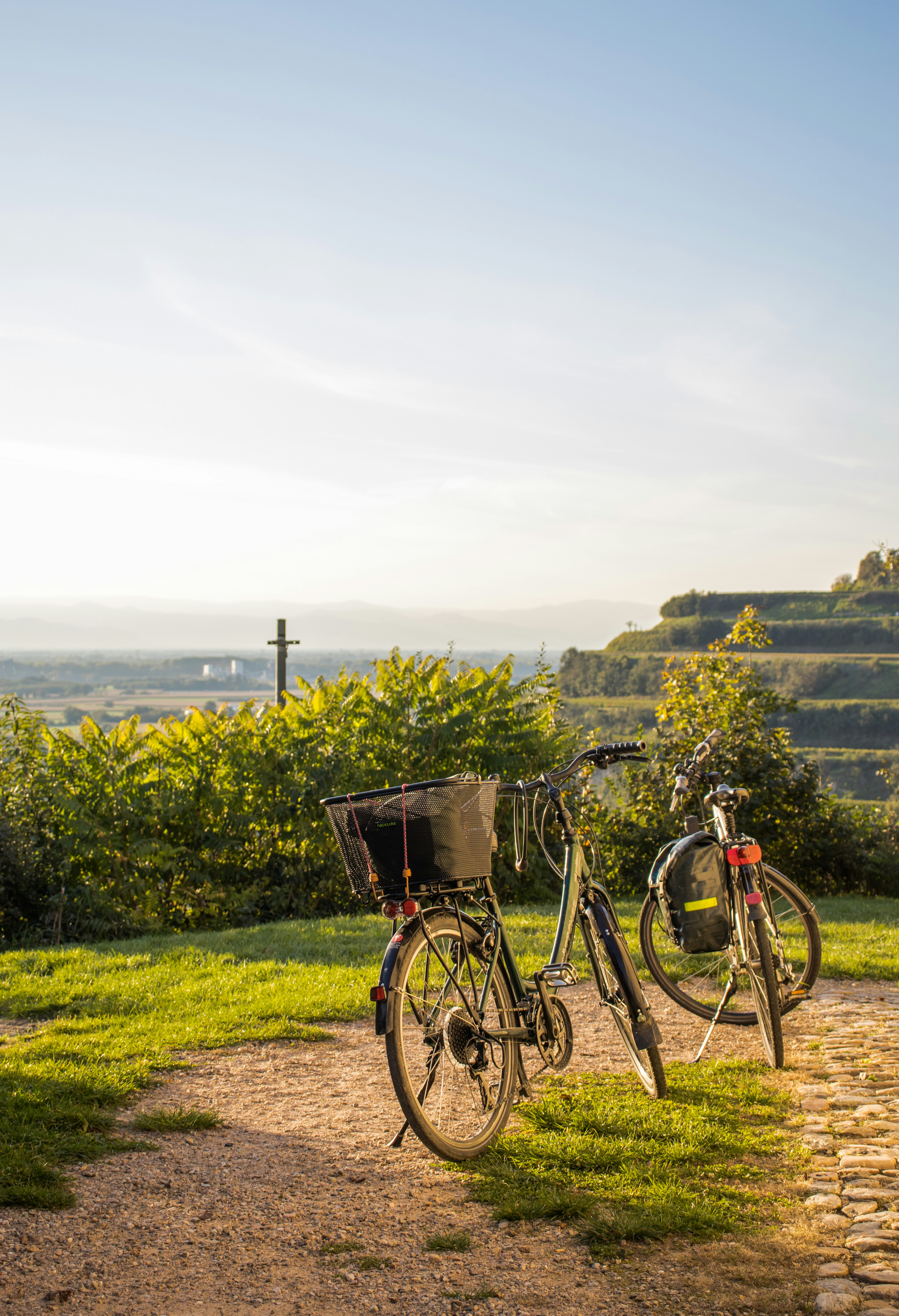 Two bicycles parked on a scenic overlook