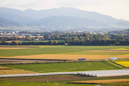 Green and yellow fields with distant mountains and town.