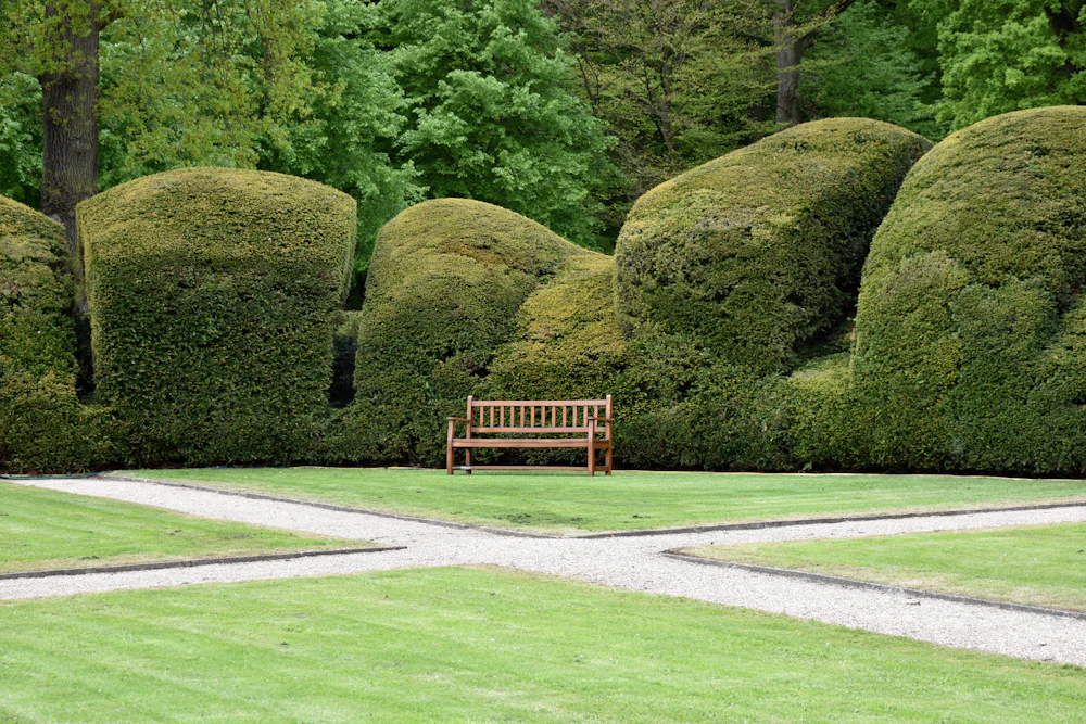Wooden bench in a manicured garden framed by hedges