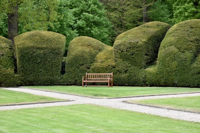 A wooden bench sits in a manicured garden with hedges.