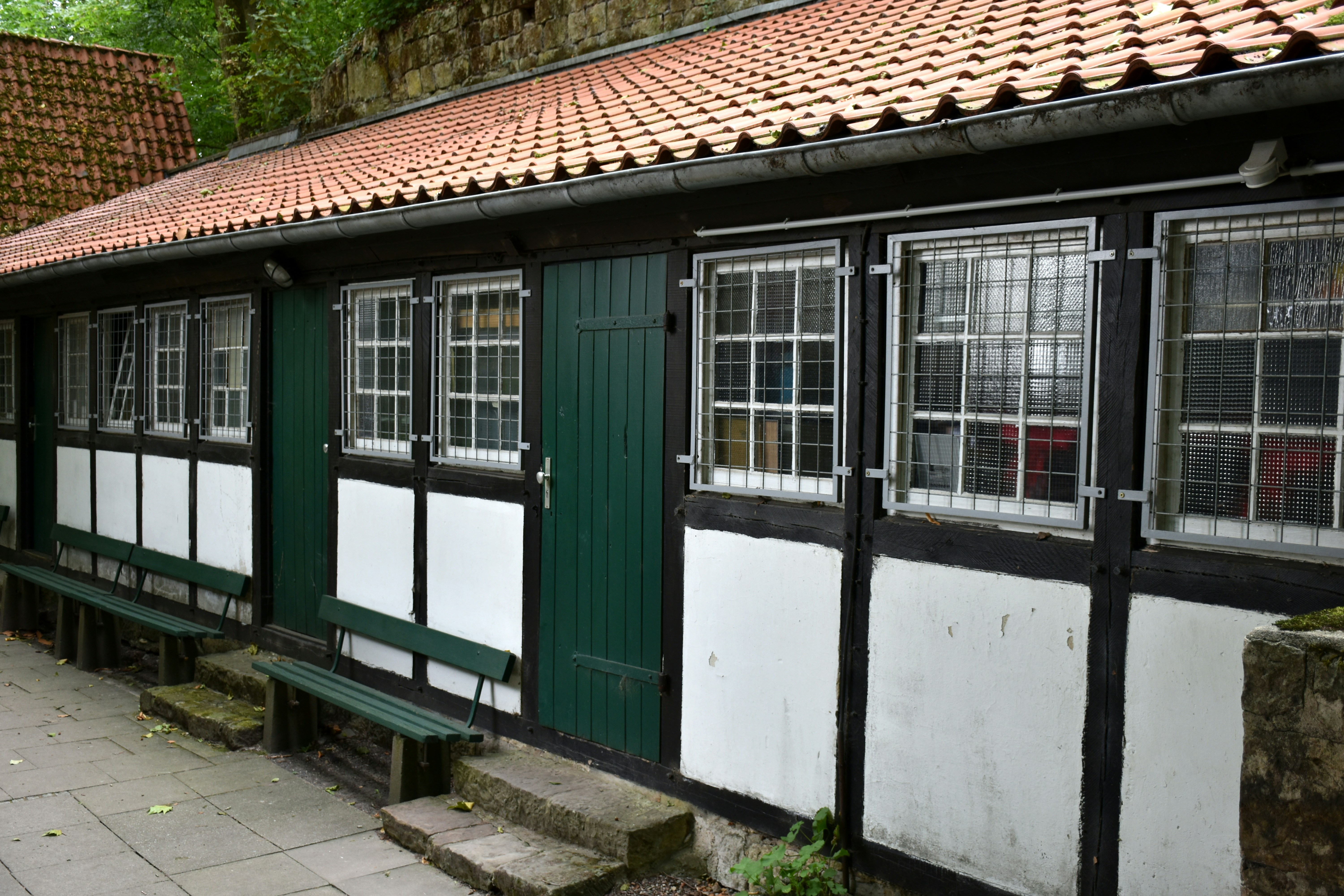 Protéger son logement pendant la saison cyclonique : 5 conseils pratiques