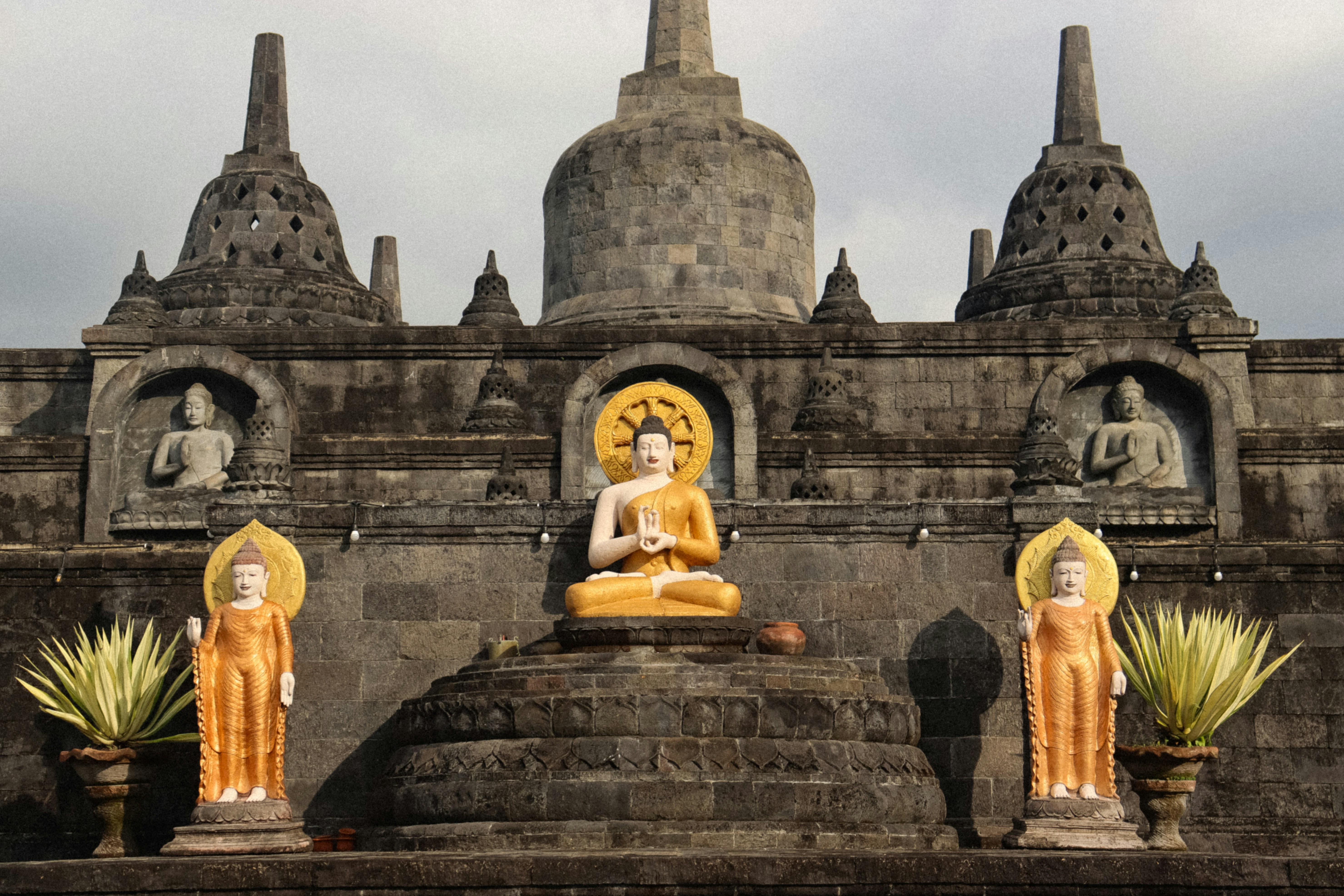 Photo by nicolearangolang