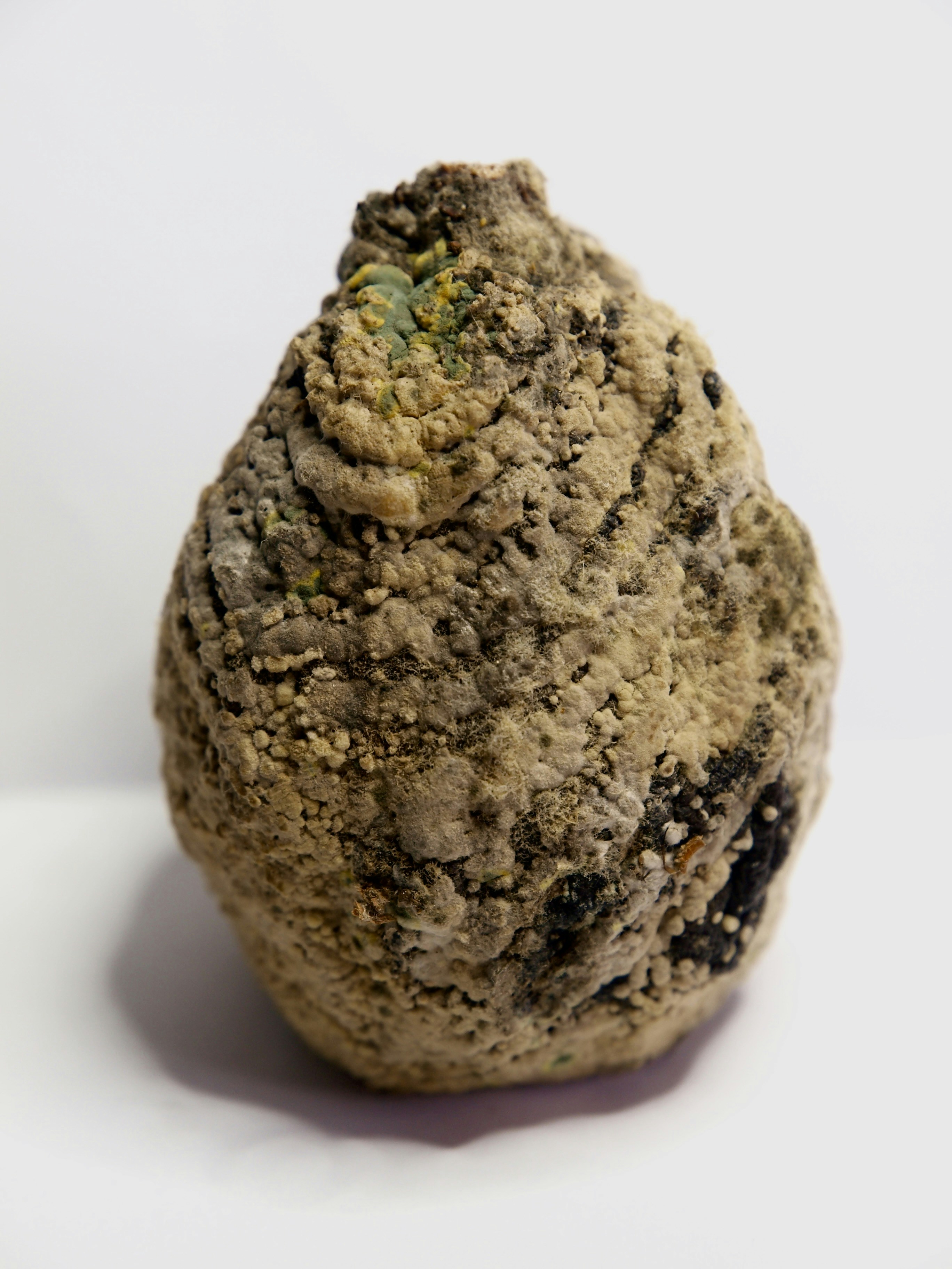 Photo by myworldisblue