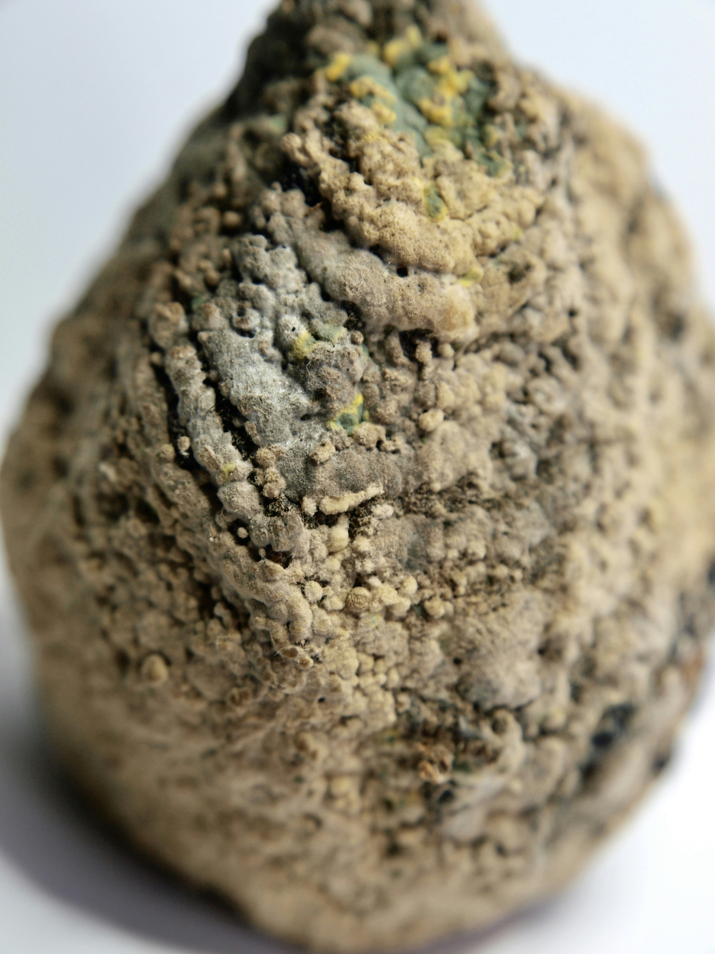 Photo by myworldisblue