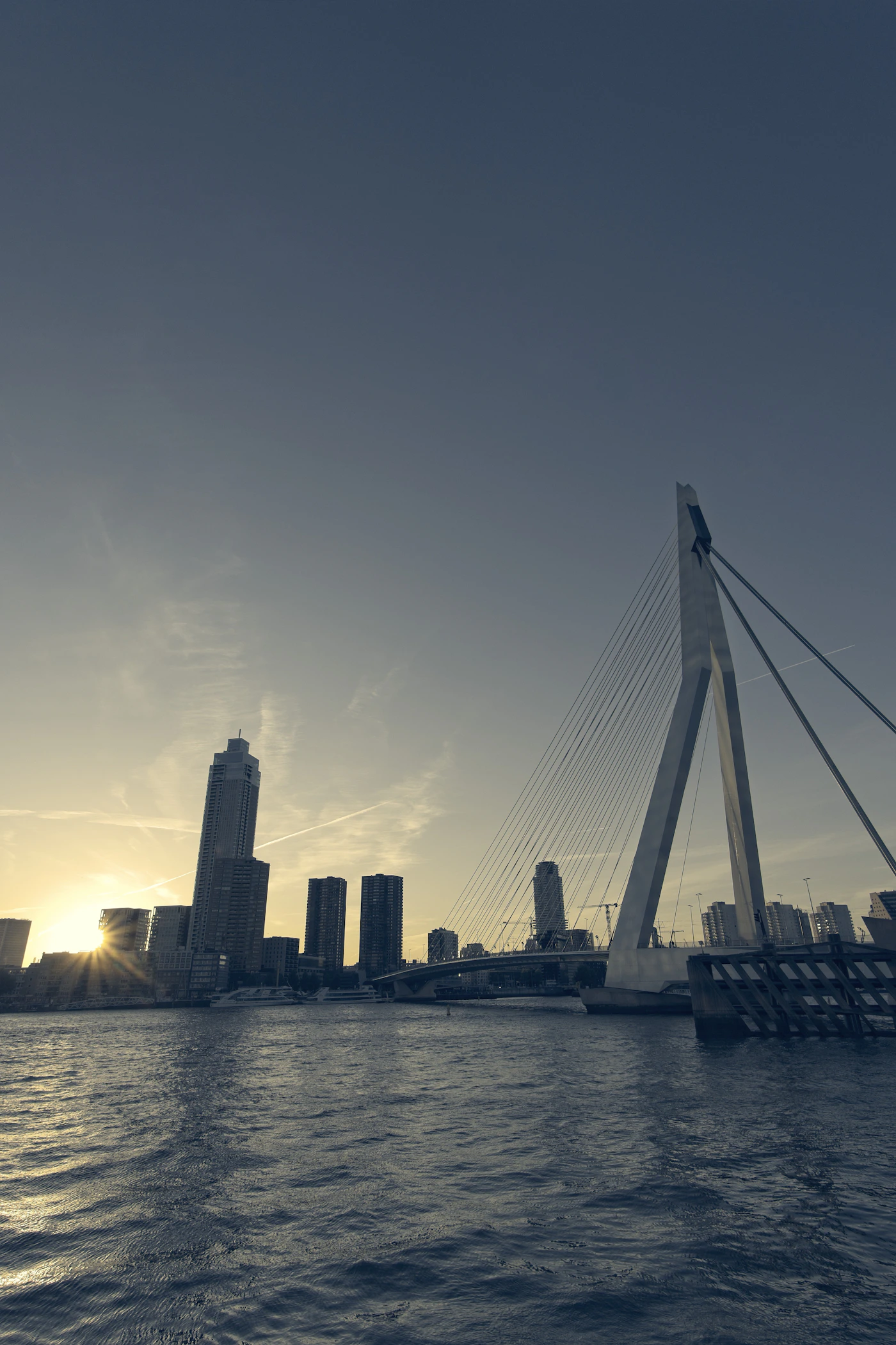 Rotterdam skyline and Erasmus Bridge beside the river