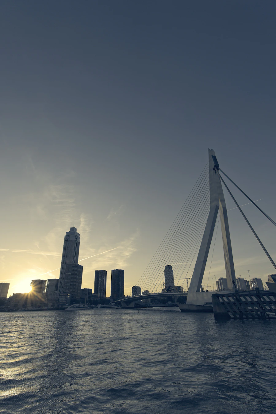 Erasmus Bridge and the Rotterdam riverfront