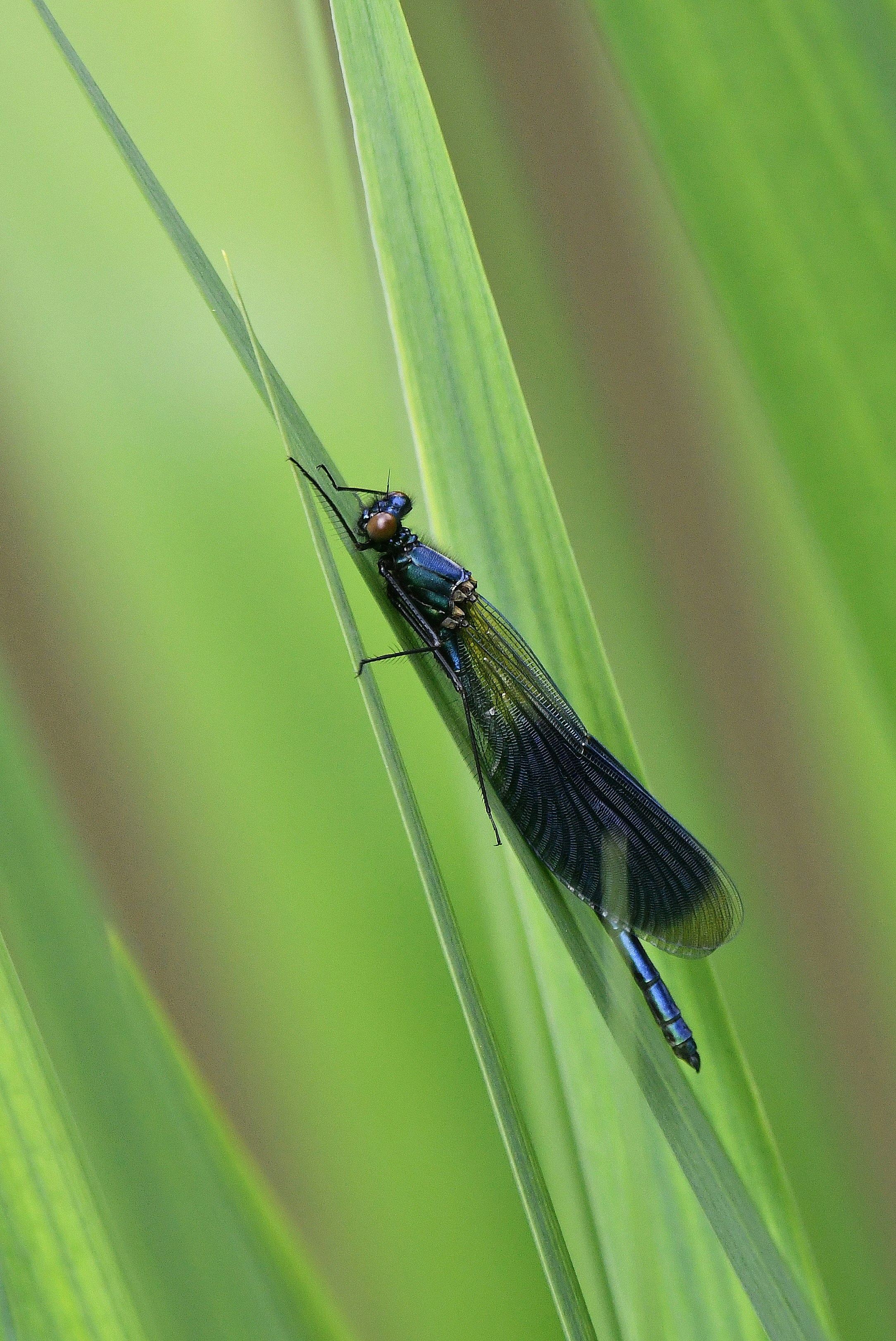 Photo by geraldine86170