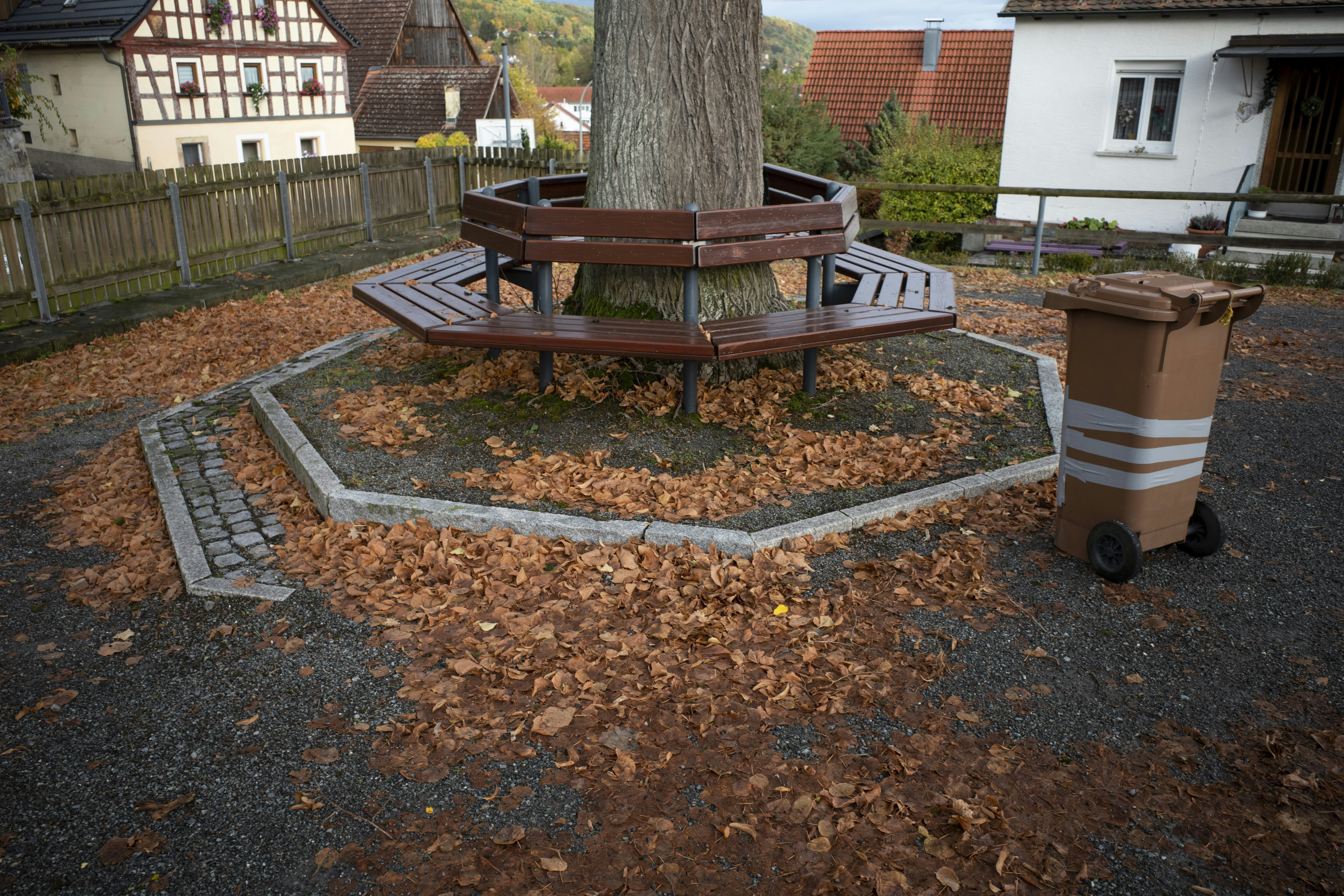 Un banc circulaire entoure un arbre aux feuilles d’automne tombées.