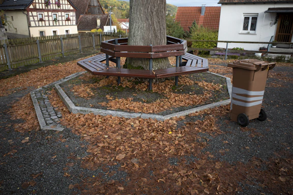A circular bench surrounds a tree with fallen autumn leaves.