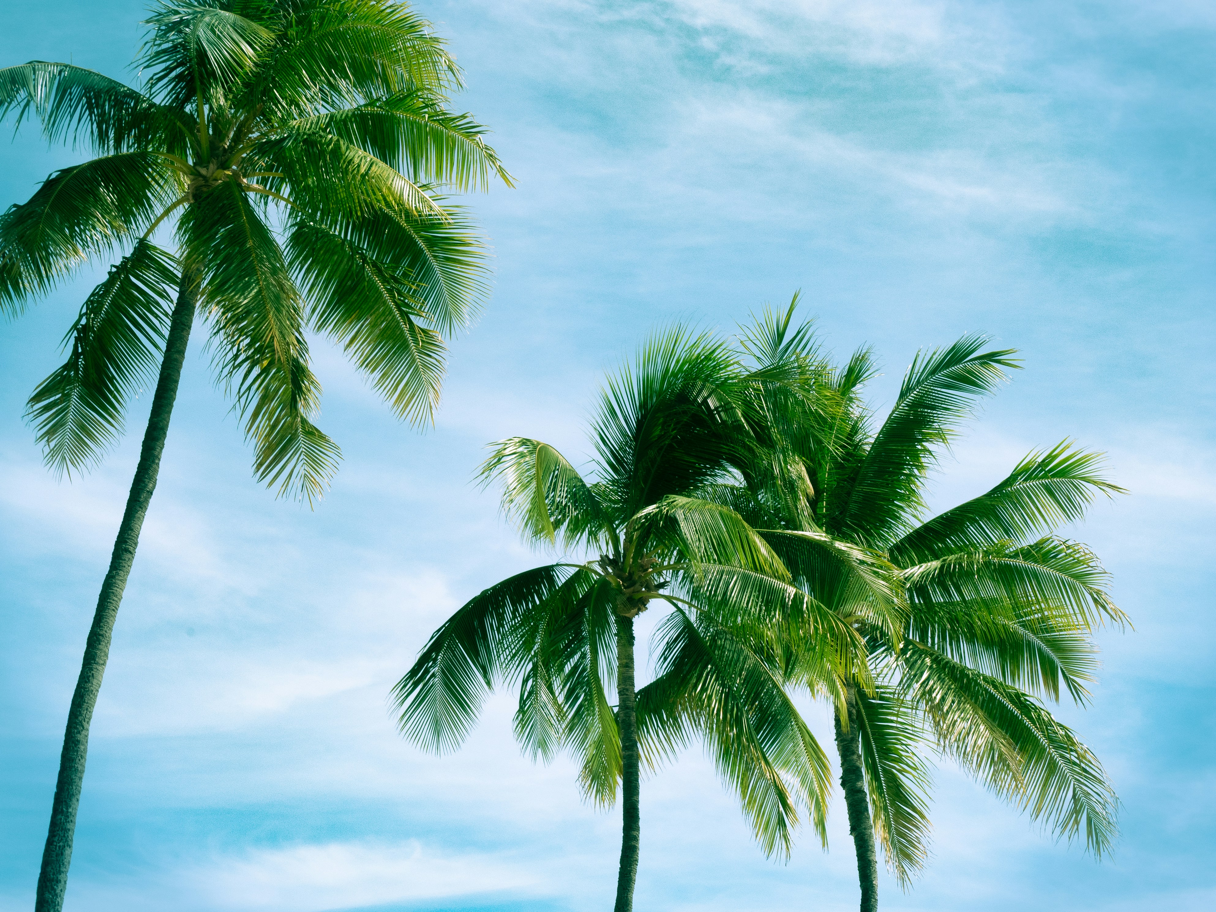 Photo by macaollarzu