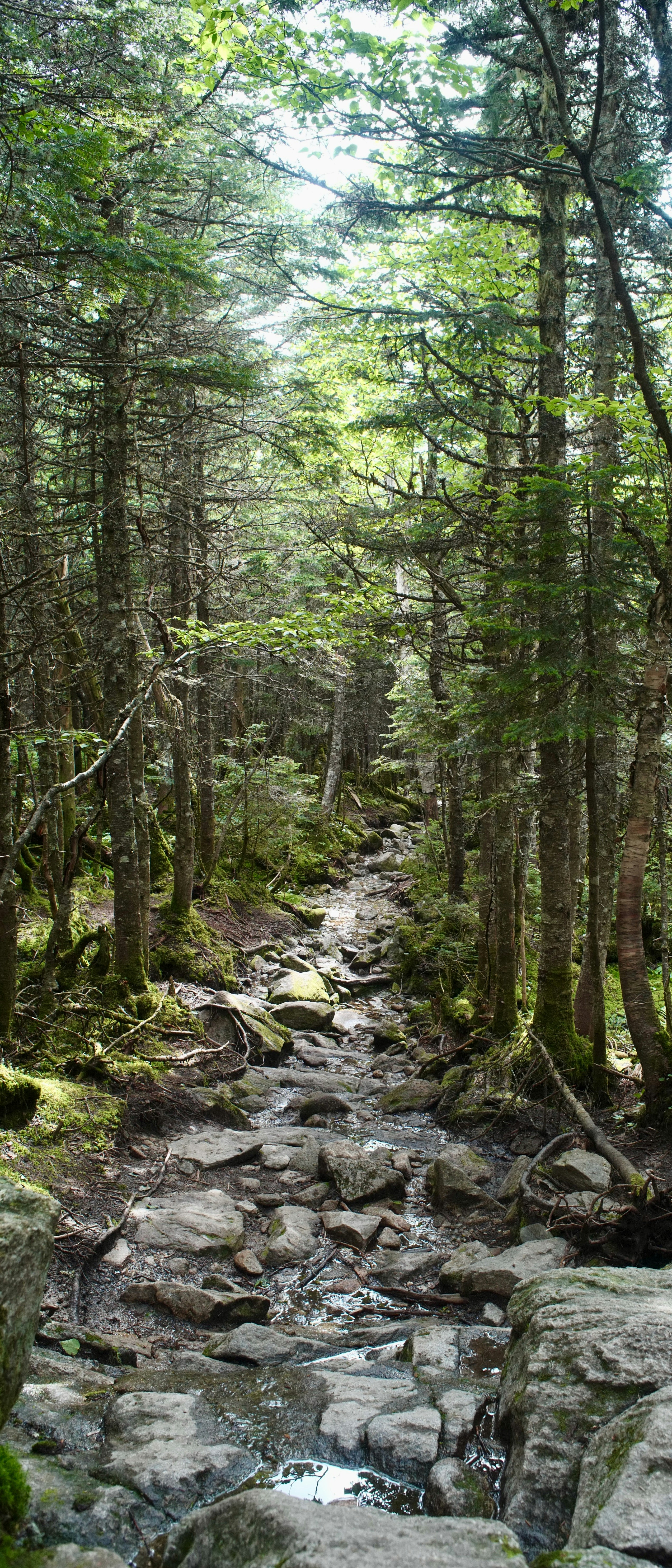 Photo by ottofreijser