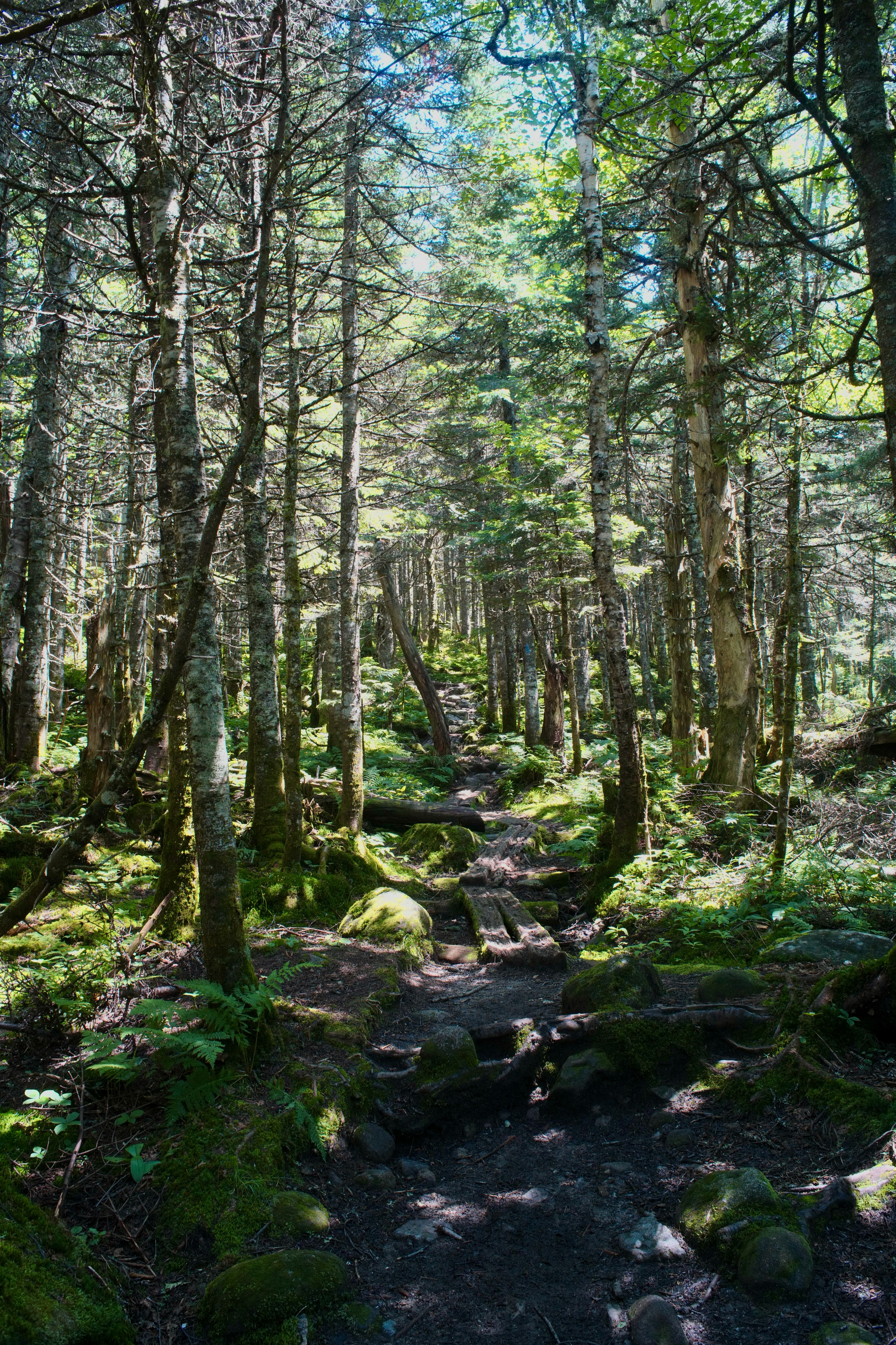 Photo by ottofreijser