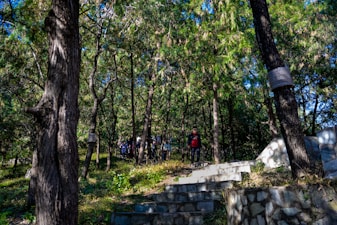 Best Hiking Apps 6 â Compared