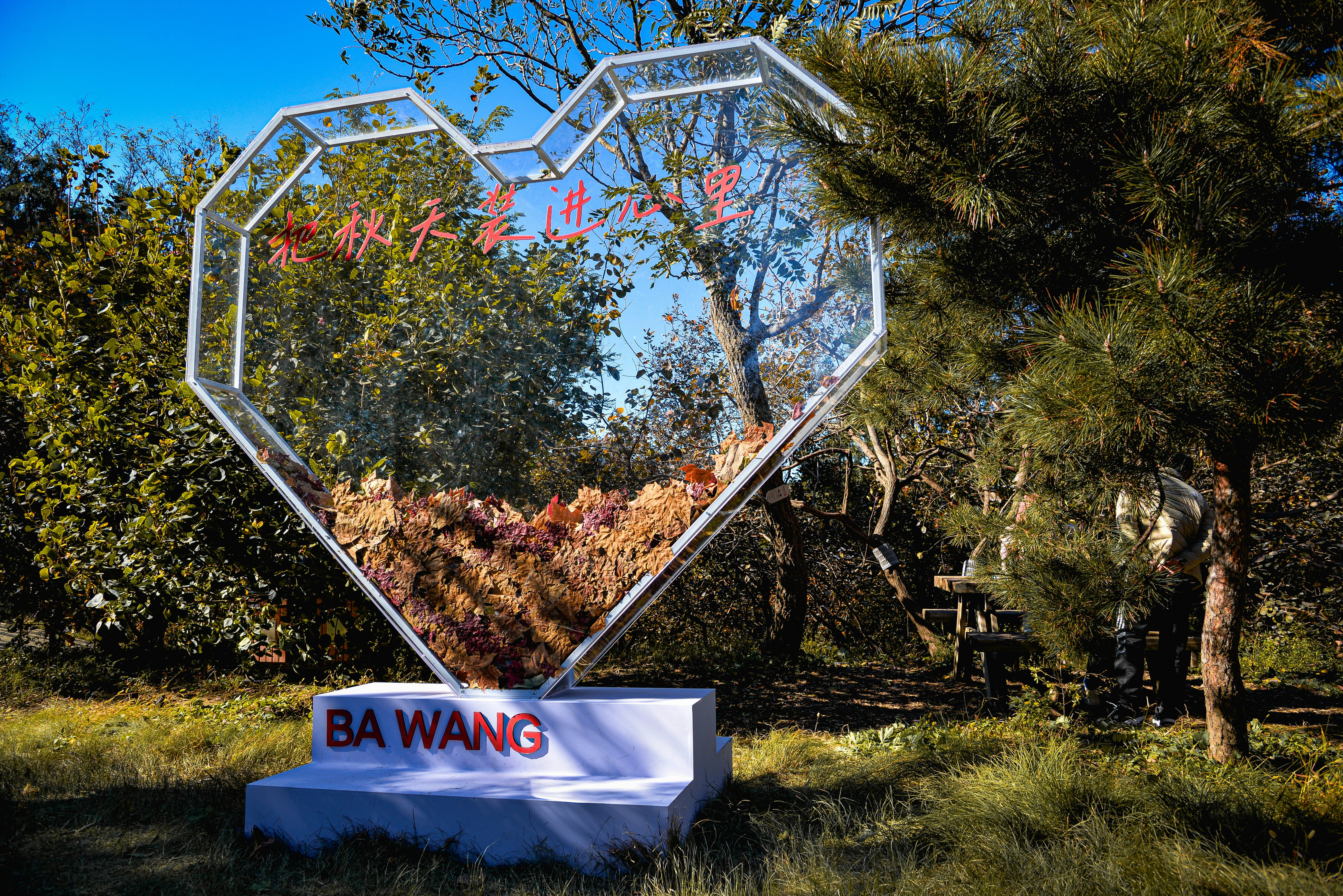Patung berbentuk hati dengan teks "ba wang"