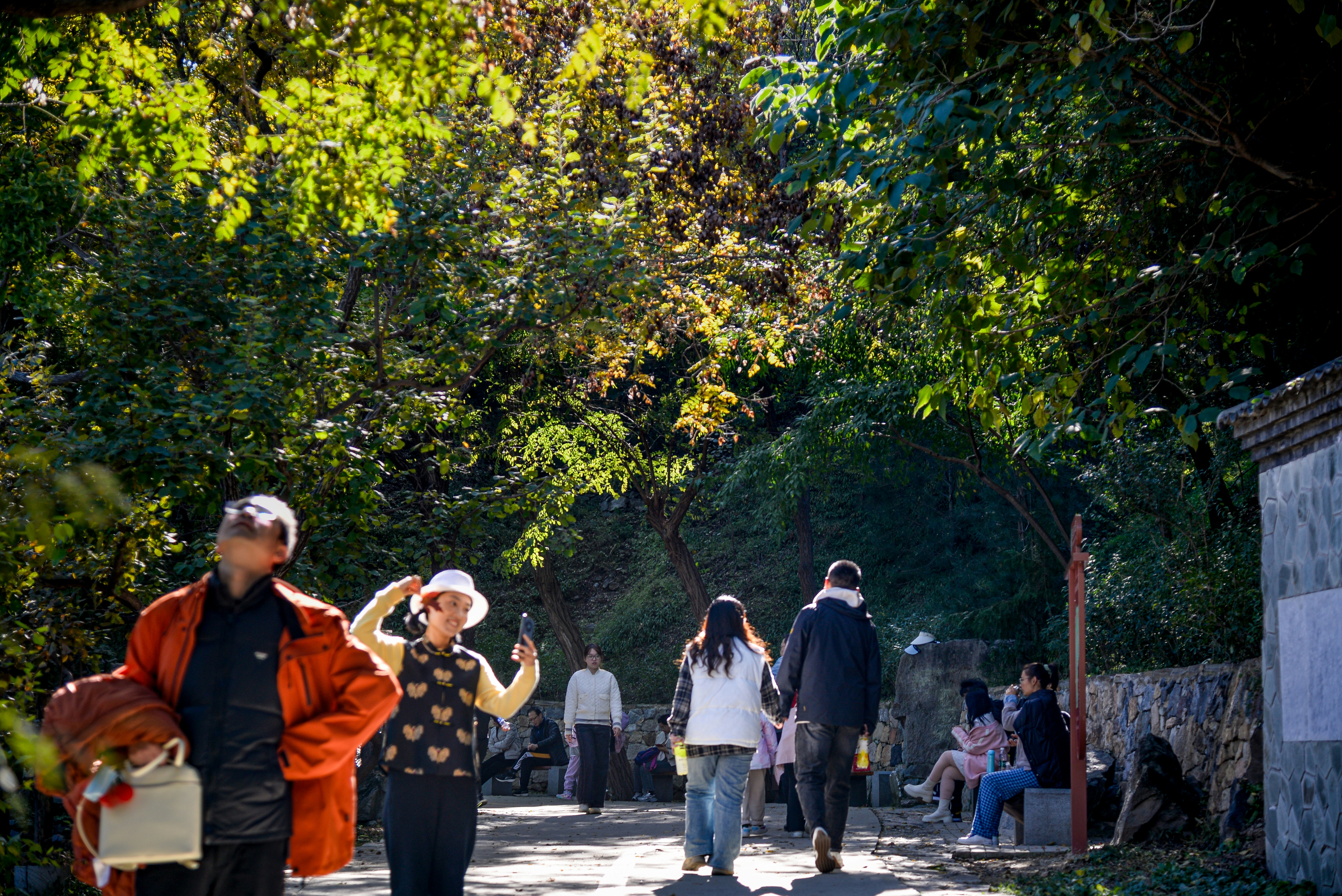 People walking on a sunlit path through trees