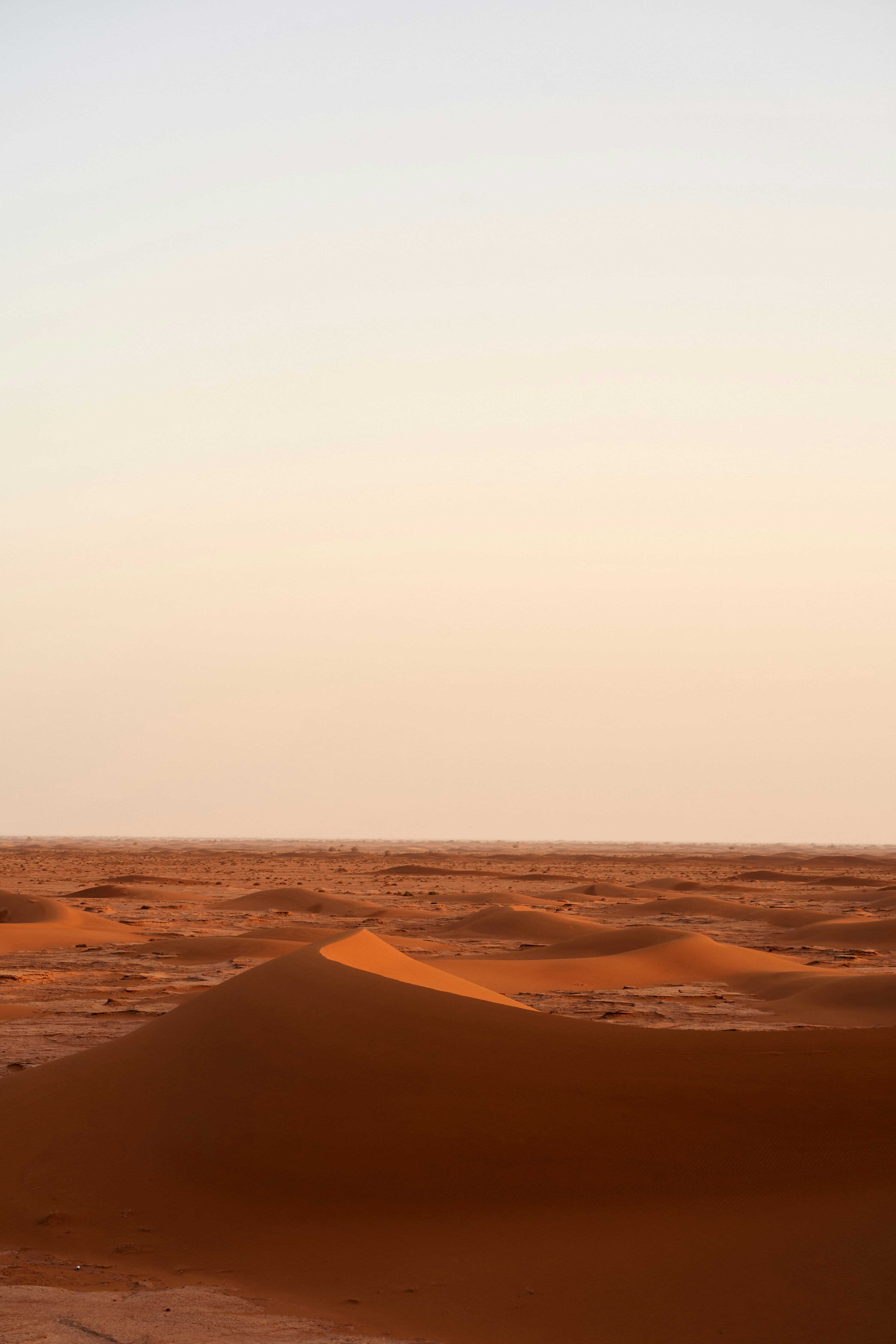Desert sand dunes under a pale sky