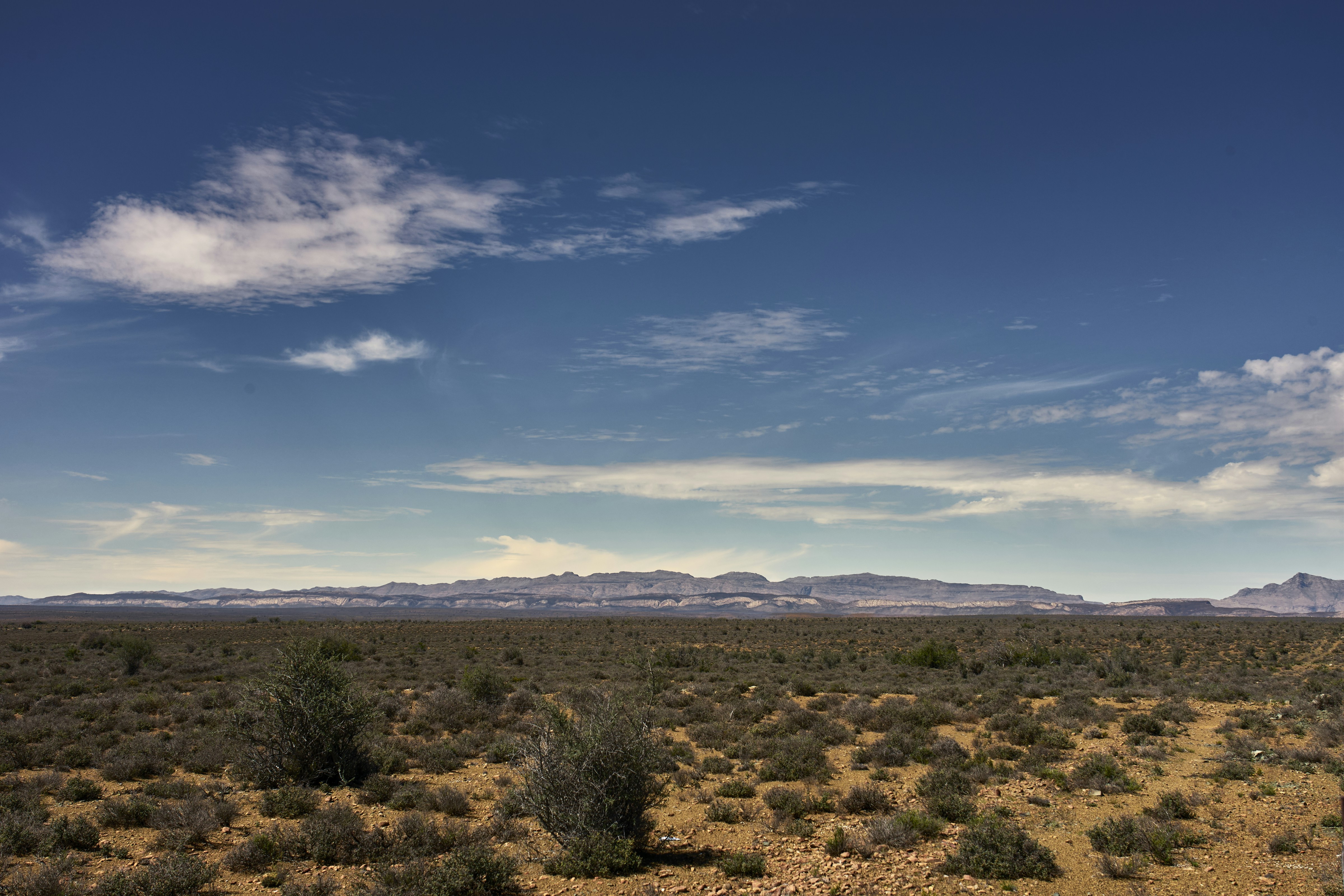 Photo by wolfgang_hasselmann