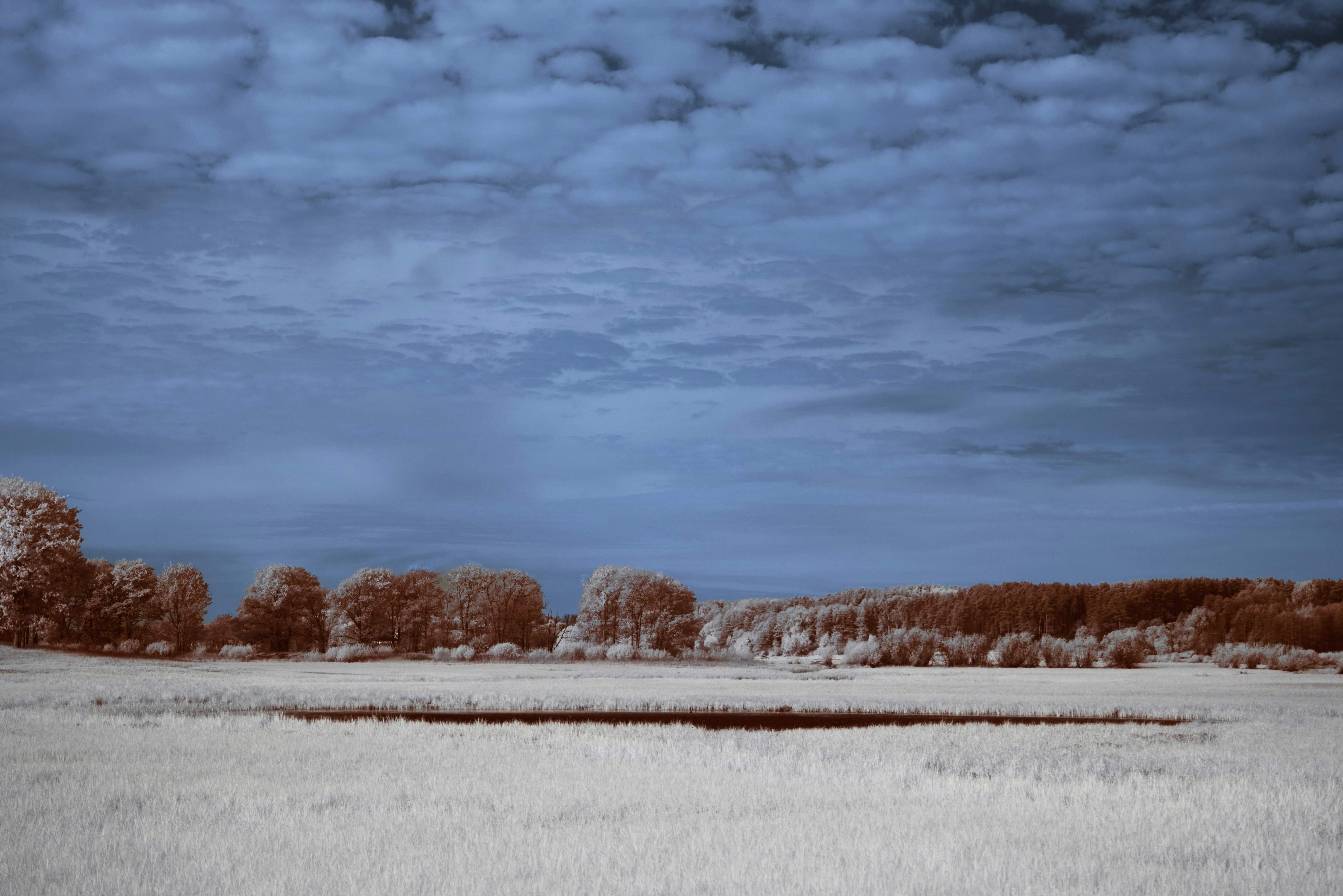 Photo by wolfgang_hasselmann