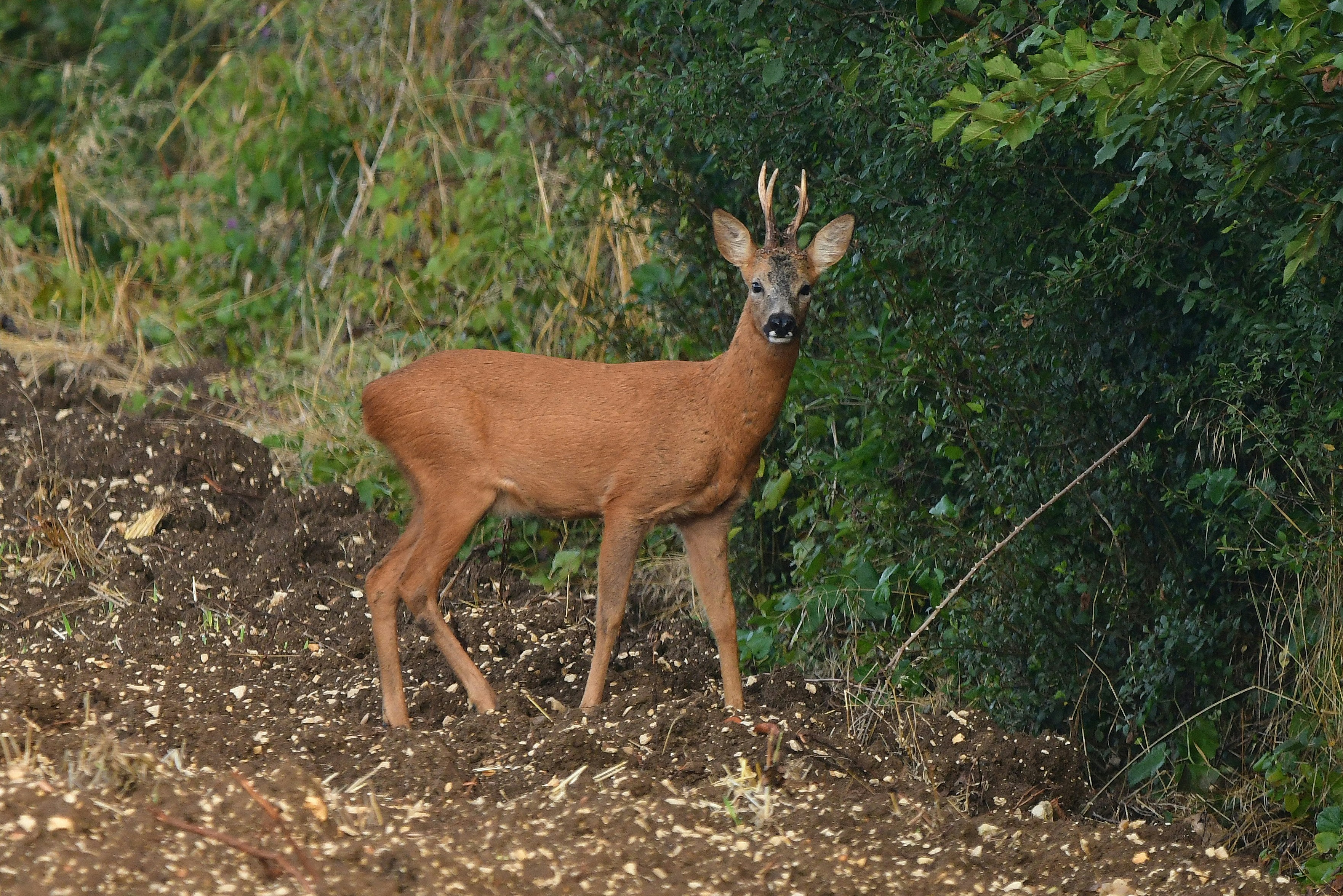 Photo by geraldine86170