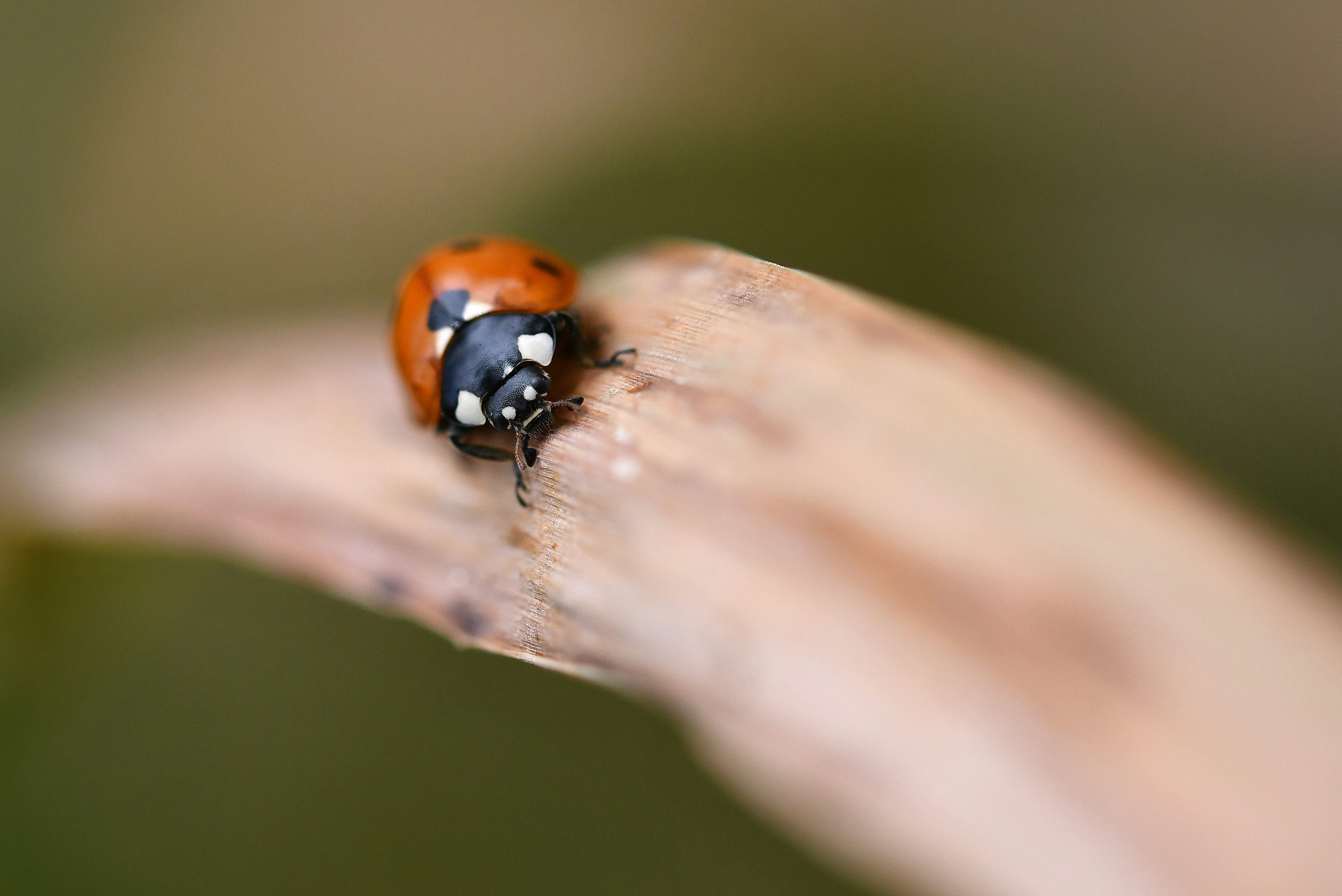 Photo by geraldine86170