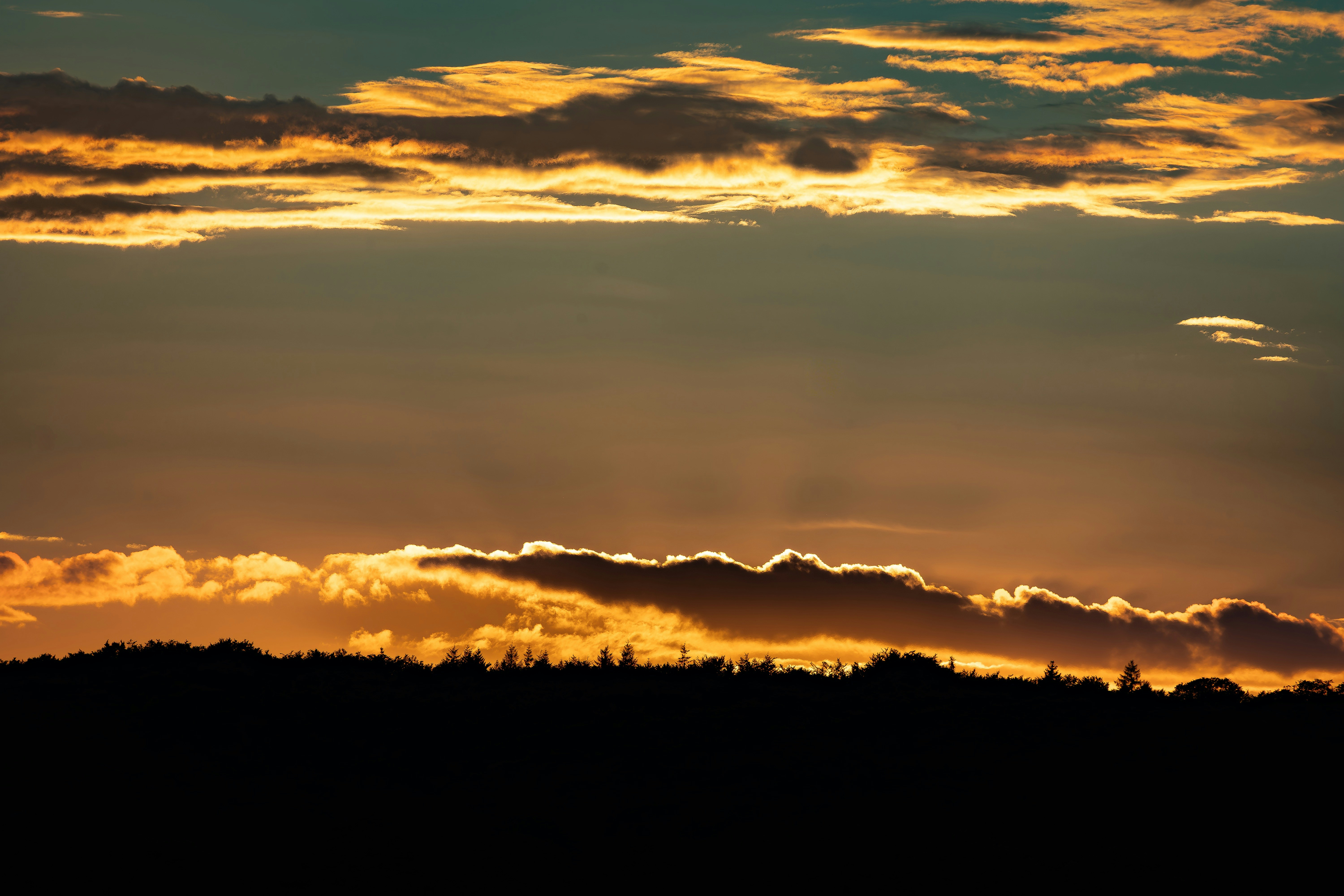 Photo by bildlich_art